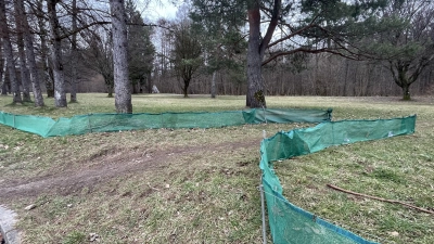 Am Perlacher Forst werden demnächst Leitungstrassen vom Bewuchs befreit.  (Foto: hw)