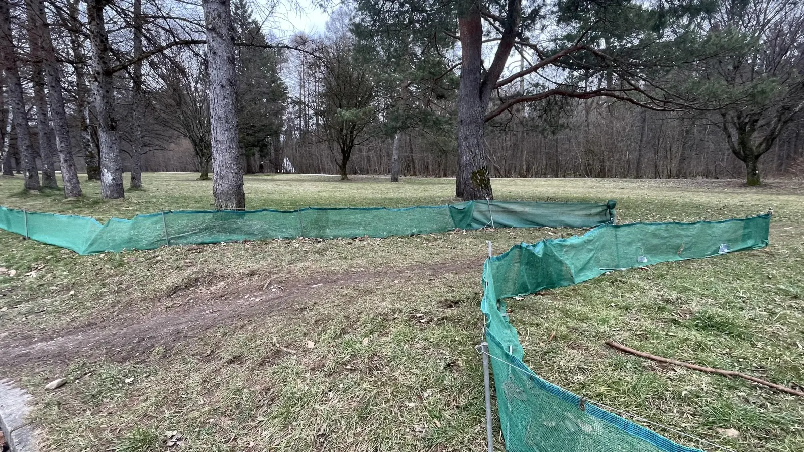 Es wird gebeten, Stellen mit Krötenwanderung, an denen sich noch kein Schutzzaun befindet, beim BUND zu melden. Auch so kann man sich für den Tier- und Artenschutz engagieren.  (Foto: hw)