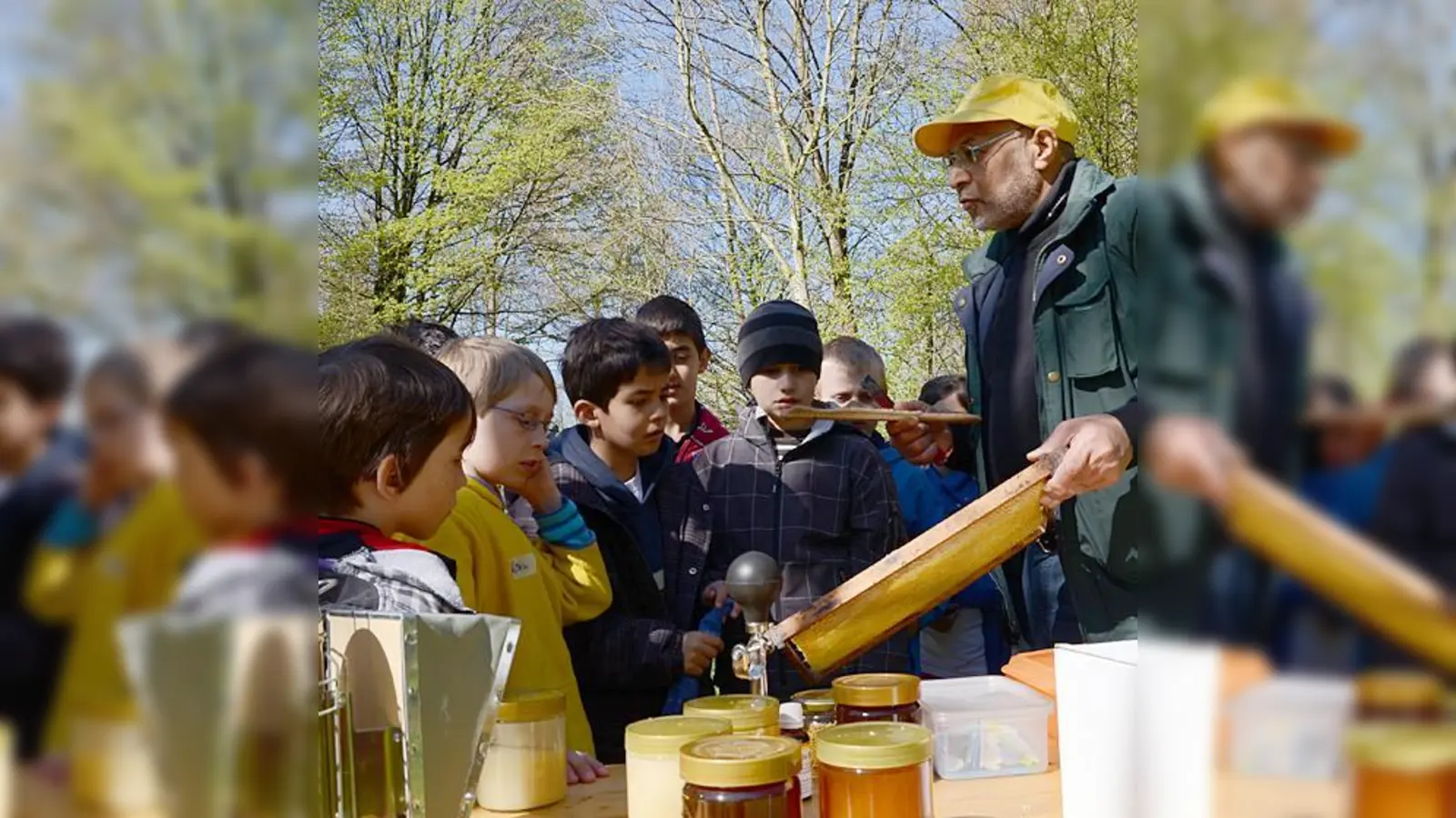 Viel gelernt über die geeignete Umgebung für Bienenvölker haben die Grundschüler.  (Foto: VA)