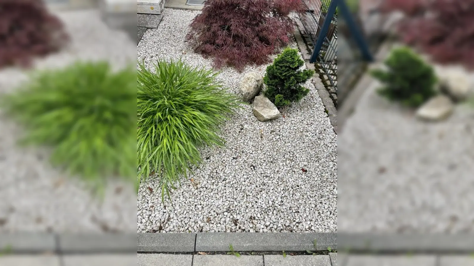 Weder schön noch umweltfreundlich sind Vorgärten, die mit Schotter aufgefüllt sind und in denen lediglich ein paar Alibi-Pflanzen wachsen dürfen. (Foto: bb)