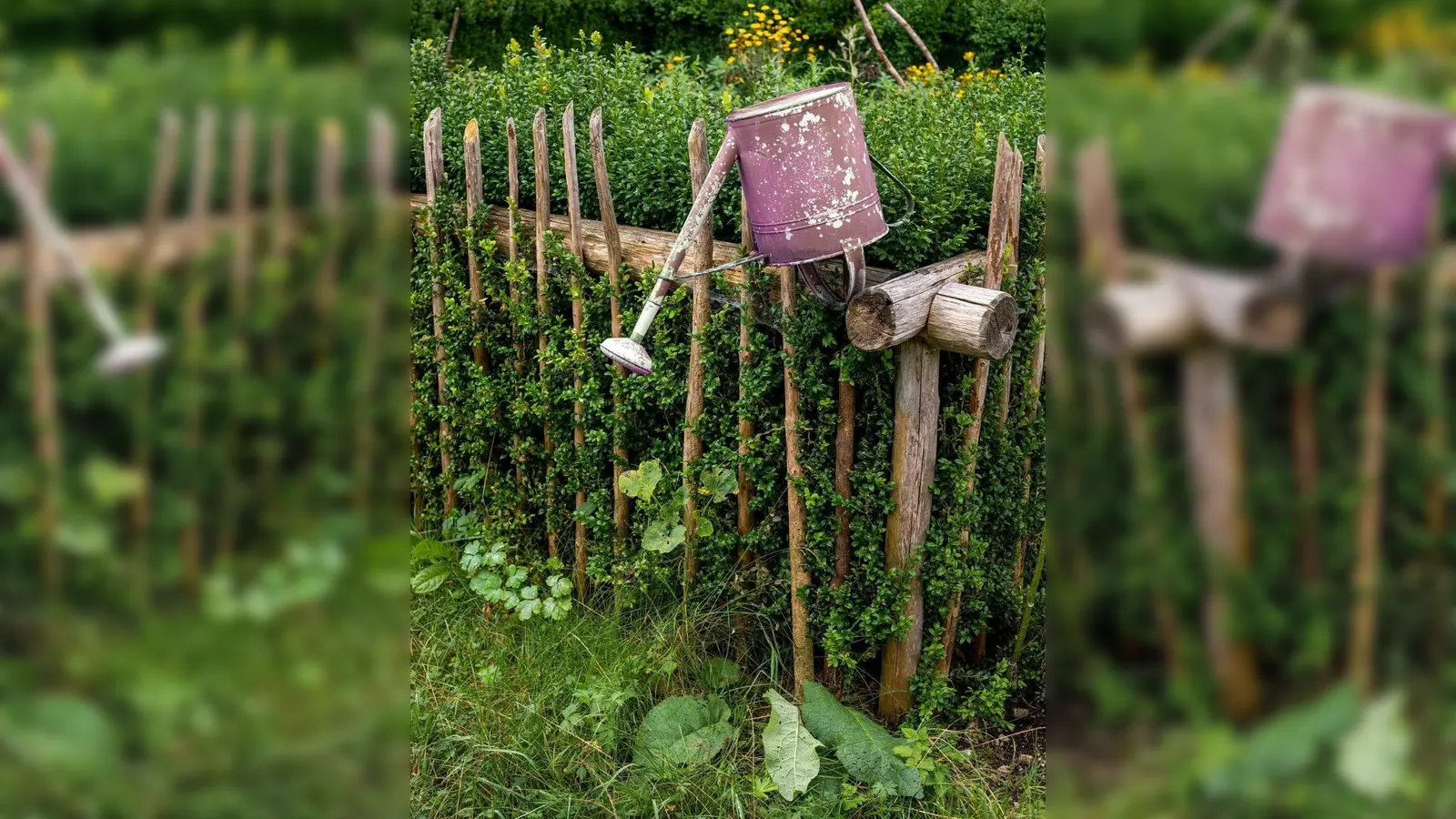 Schwelgen in schönen Fotos kann man ab 17. September in der vhs Vaterstetten. (Foto: Fotoclub Vaterstetten)