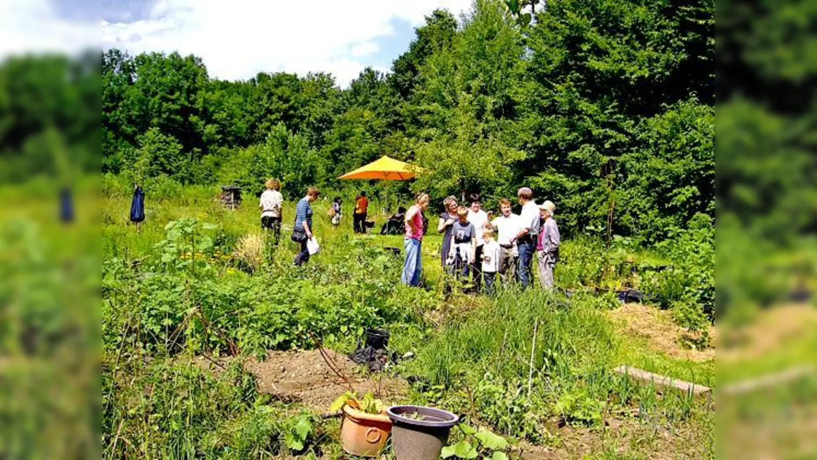 Traumhafte Blütenpracht gepaart mit sinnvollen Nutzgärten: Beim Tag der offenen Gartentür im ÖBZ können die Besucher beides bestaunen.	 (Foto: VA)