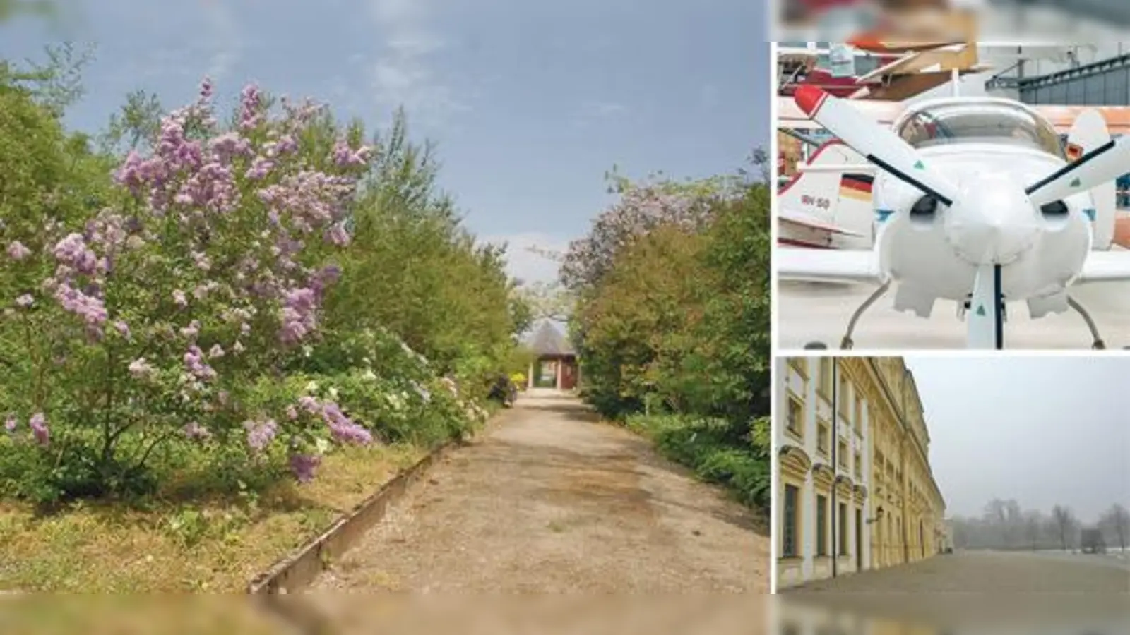 Was das Herz begehrt: Sonderführungen oder ermäßigte Preise gibt es am Sonntag in vielen Museen, etwa der Flugwerft Oberschleißheim, dem Botanischen Garten Nymphenburg oder dem Neuen Schloss Schleißheim.  (Foto: Botanischer Garten, Deutsches Museum)