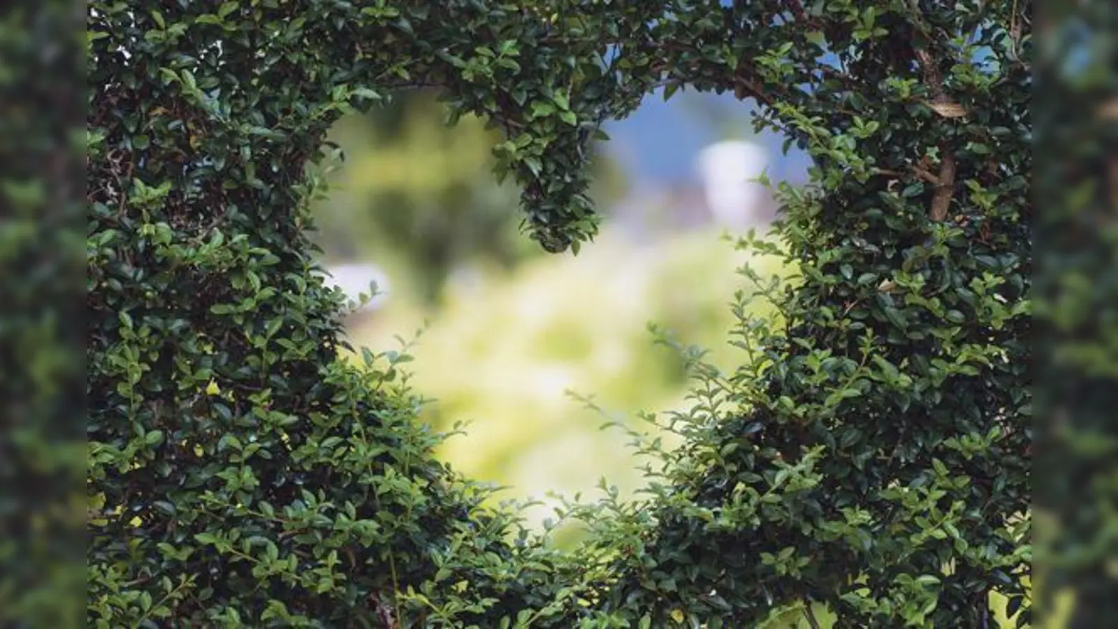 Der Landkreis München sucht aktuell nach Personen, die ein Herz für Natur und Umwelt zeigen.	 (Foto: CC0)