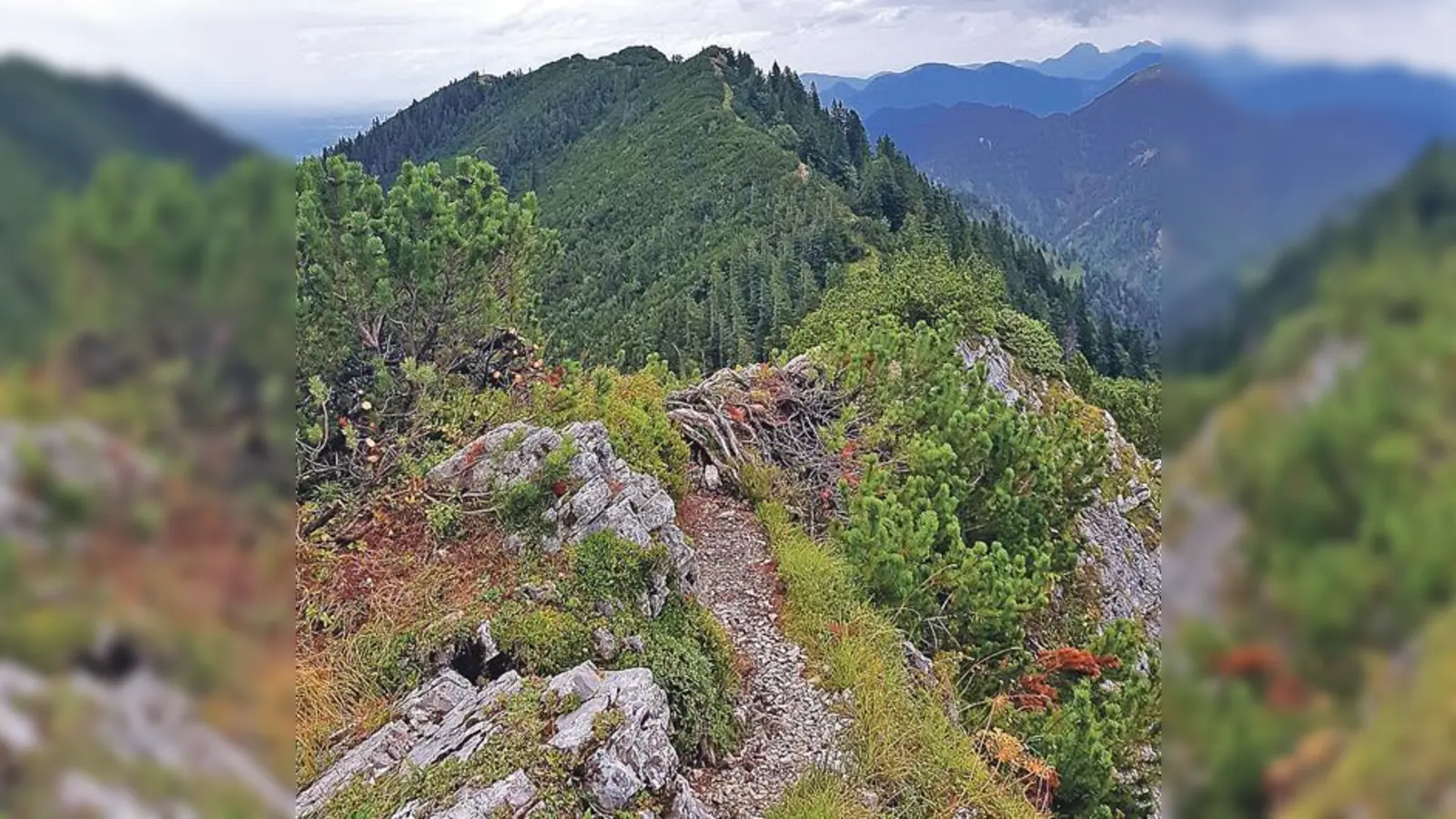 Vom Spitzkamp zum Ochsenkamp wandert man aussichtsreich über den Grat.	 (Foto: Stefan Dohl)