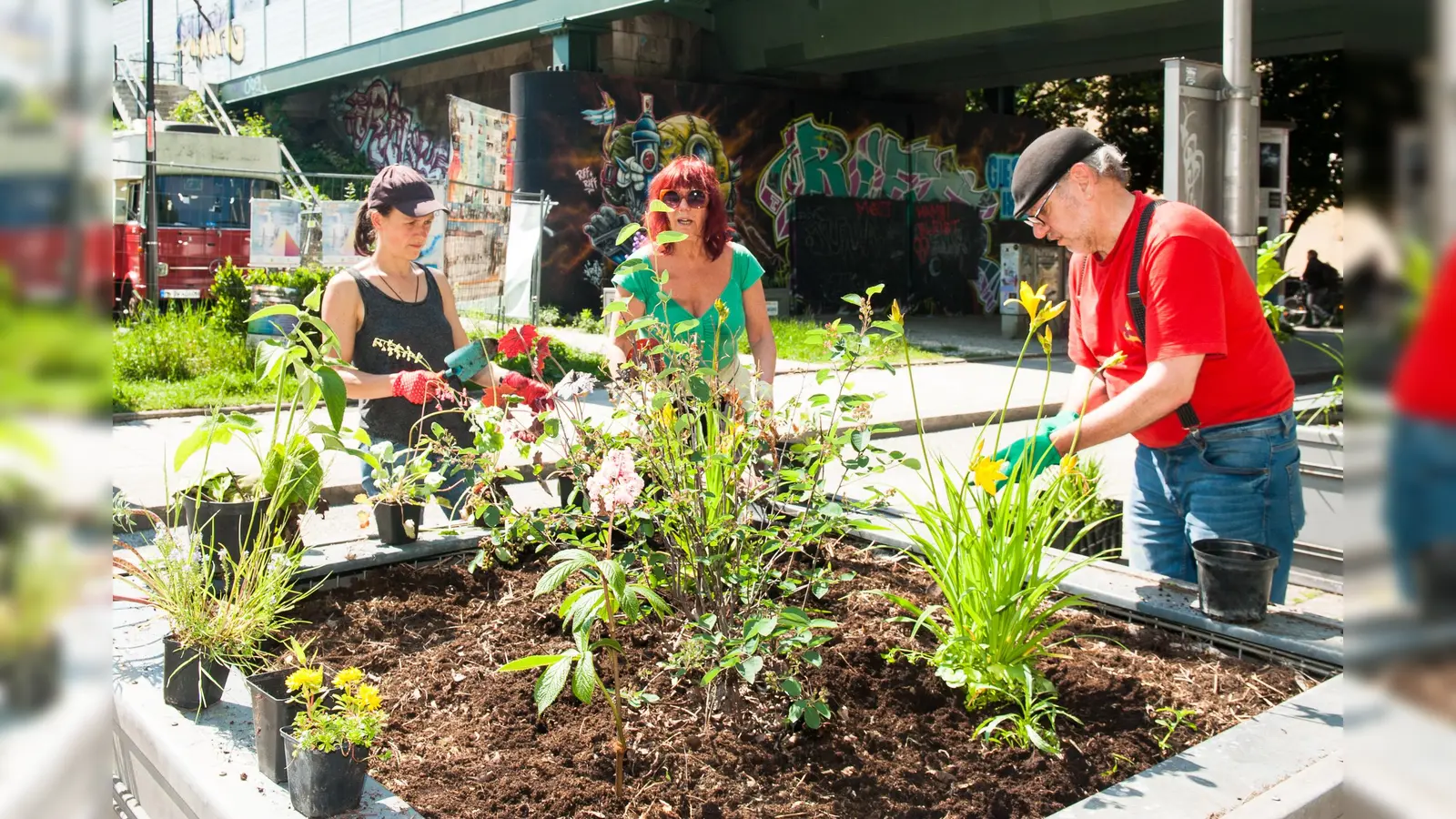 Die Bürgerinitiative sucht ab sofort Helfer, die die Beete am Kolumbusplatz gießen helfen. (Foto: BI)