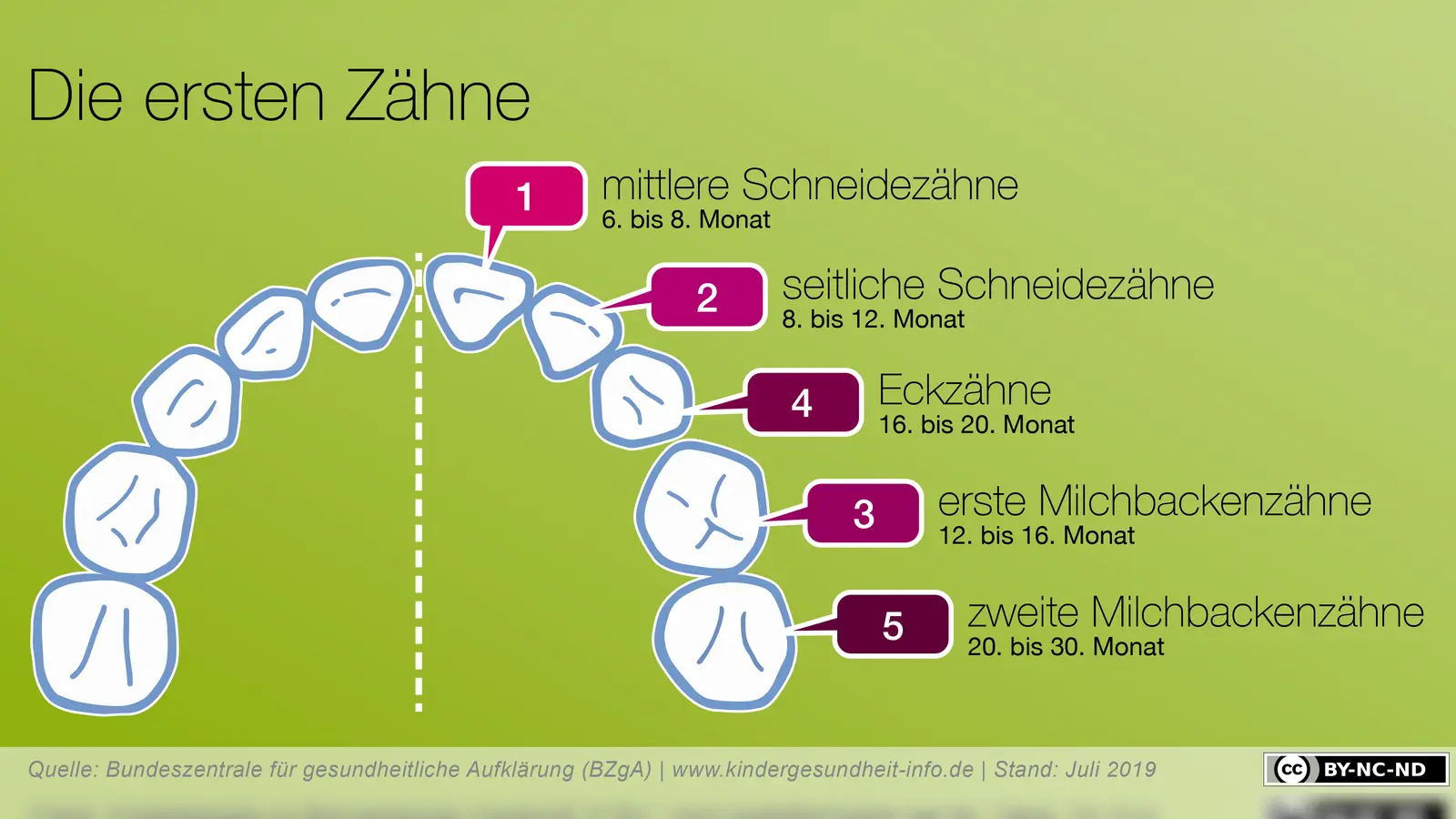 Wann kommen die ersten Zähne?  (Foto: BZgA)