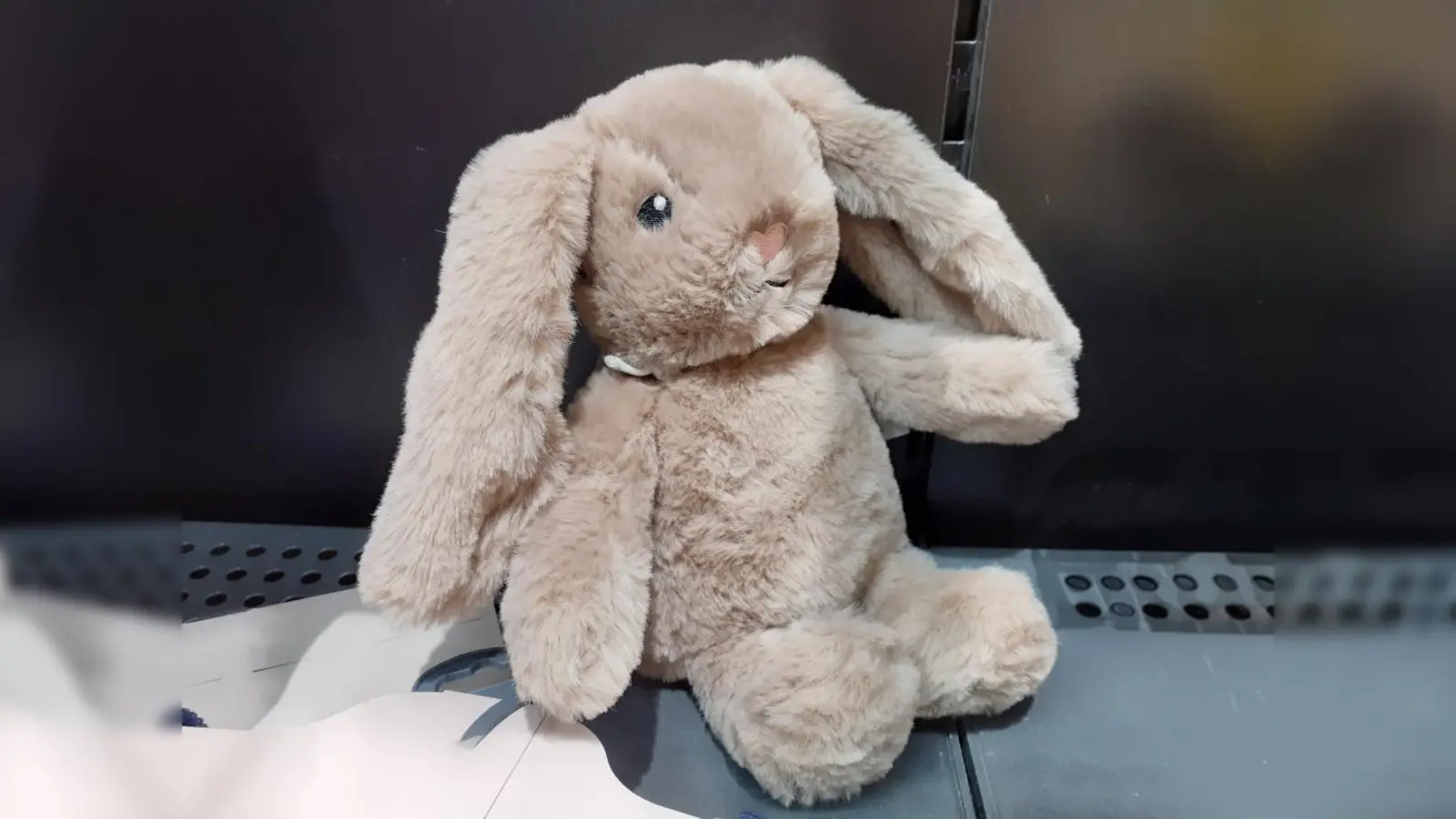 Wie der Osterhase hoppeln, an einem Eierlauf teilnehmen und die große Hasenprüfung absolvieren: All das können Kinder bei der Osteraktion.  (Foto: mha)