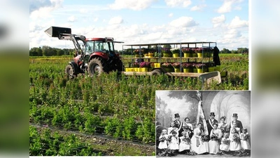 Blumengrüße aus Eicherloh: Gärtner Wolfgang Richter bei der Arbeit. Die Blumen werden dann frühmorgens zur Münchner Großmarkthalle gebracht. Foto klein: Fahnenweihe im Jahr 1900: Die Gärtner präsentierten sich hier im allerfeinsten Festaufzug.  (F: VA)