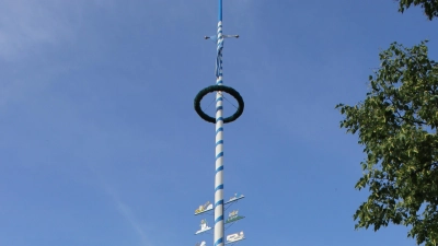 Eine schöne bayerische Tradition ist der Maibaum, hier das Prachtexemplar in Kirchheim. Neue Bäume aufgestellt werden heuer in Finsing, Purfing und Zorneding. (Foto: bs/Archiv)