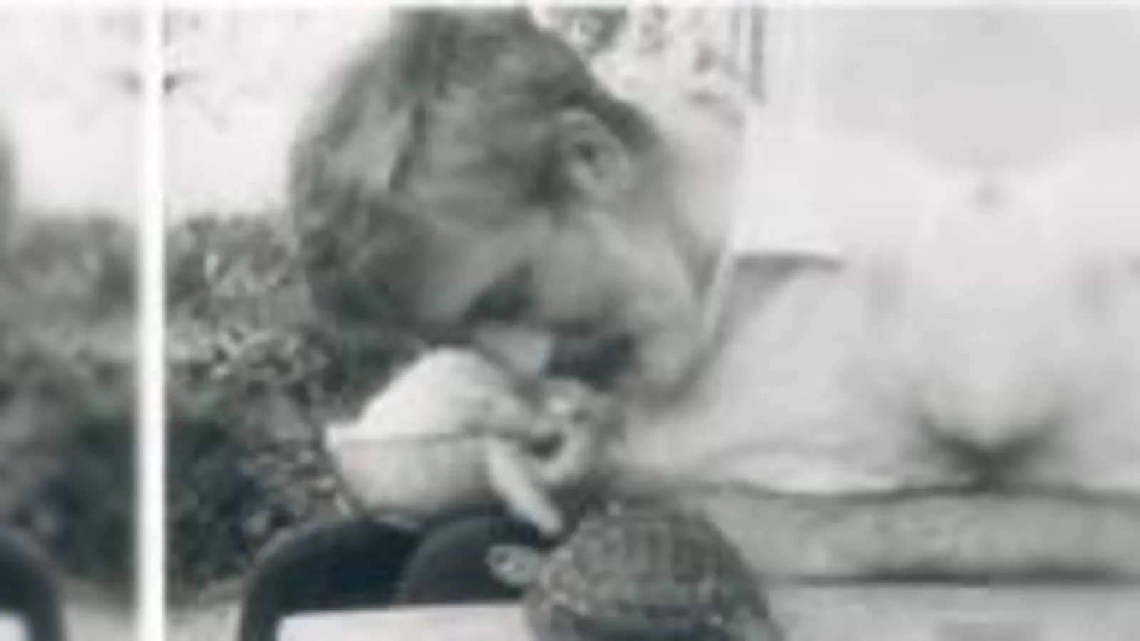 Michael Ende mit dem echten »Tranquilla Trampeltreu«-Vorbild. 	 (Foto: VA)