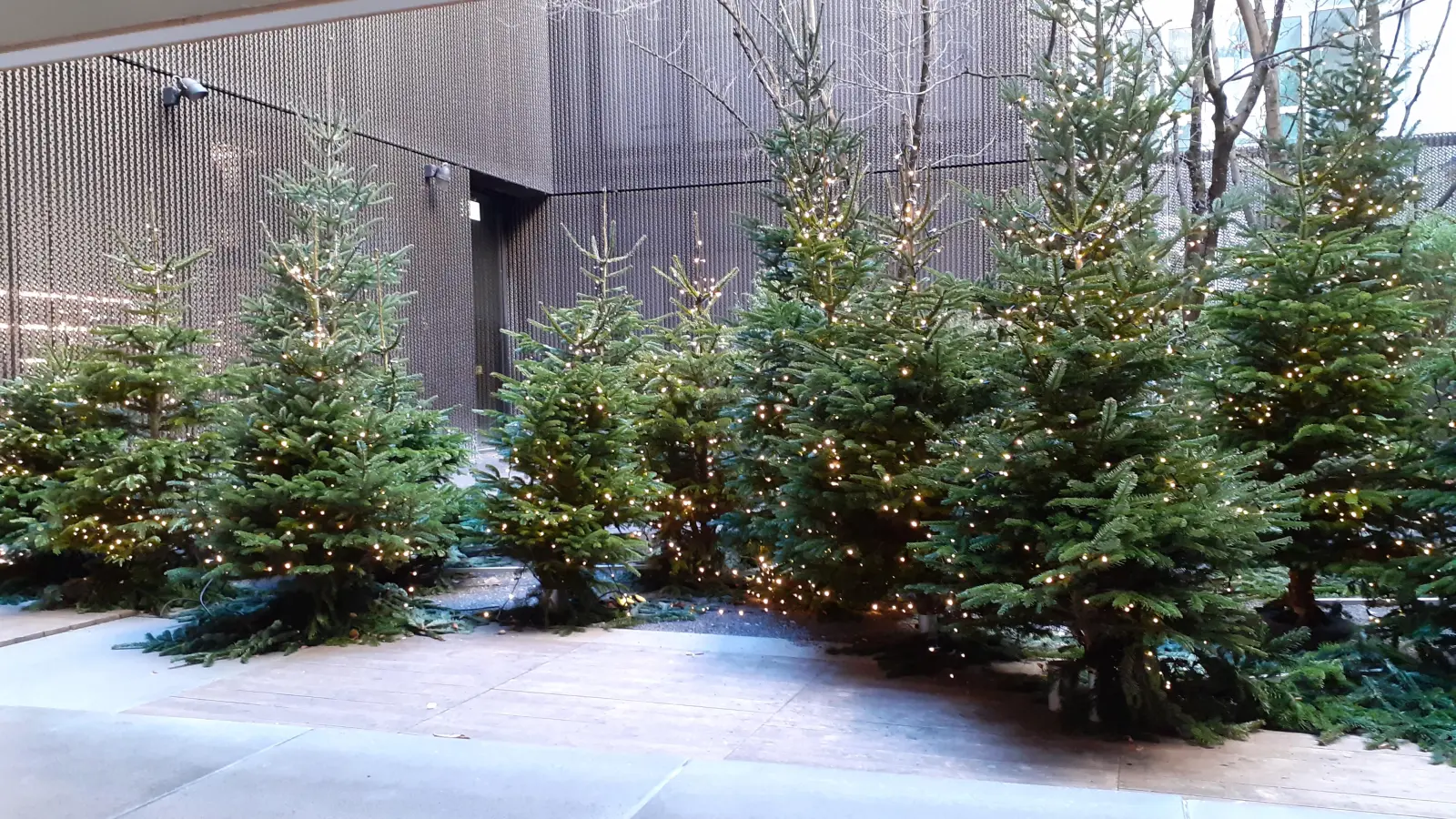 Mit drei schönen Weihnachtfilmen verabschiedet sich das Filmmuseum in die Winterpause. (Symbolbild: mha)