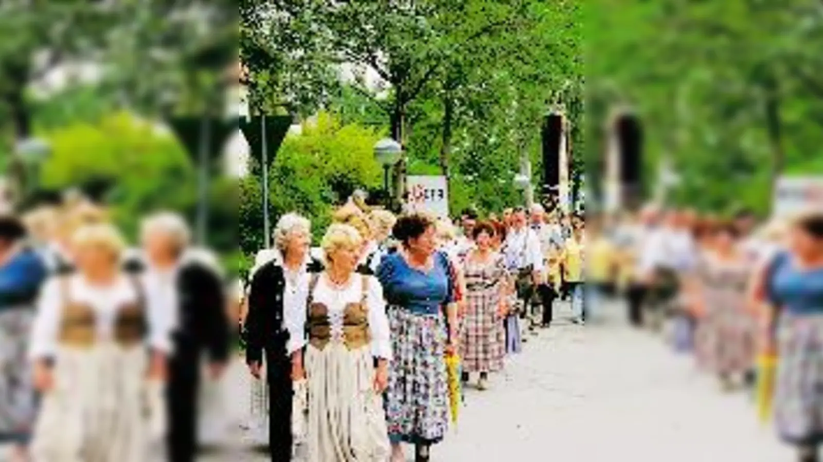 Zahllose Zuschauer säumten die Straßen beim Festzug des Echinger Volksfestes.	 (Foto: an)