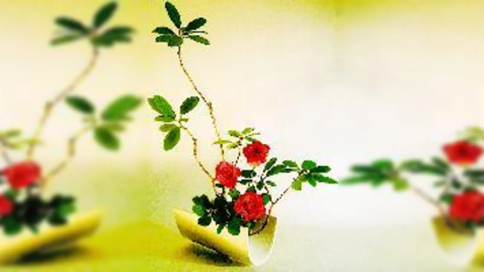 Zum ersten Mal in der 90-jährigen Gartengeschichte im Botanischen  (Foto: Ikebana-Kunst.)