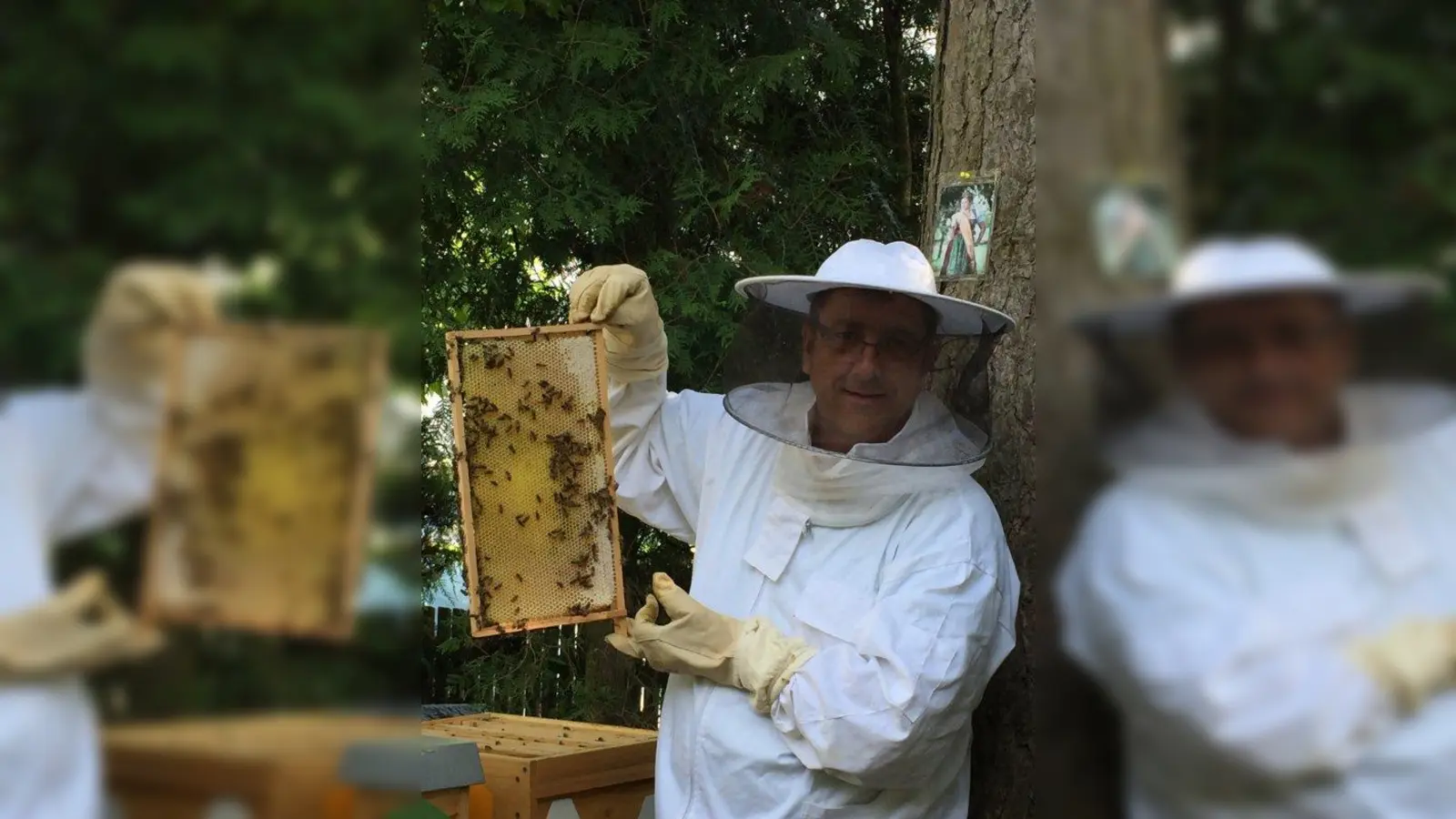 Hobbyimker Matthias Pfeiffer kontrolliert wie es seinen „Mädels” geht. (Foto: Claudia Pfeiffer)