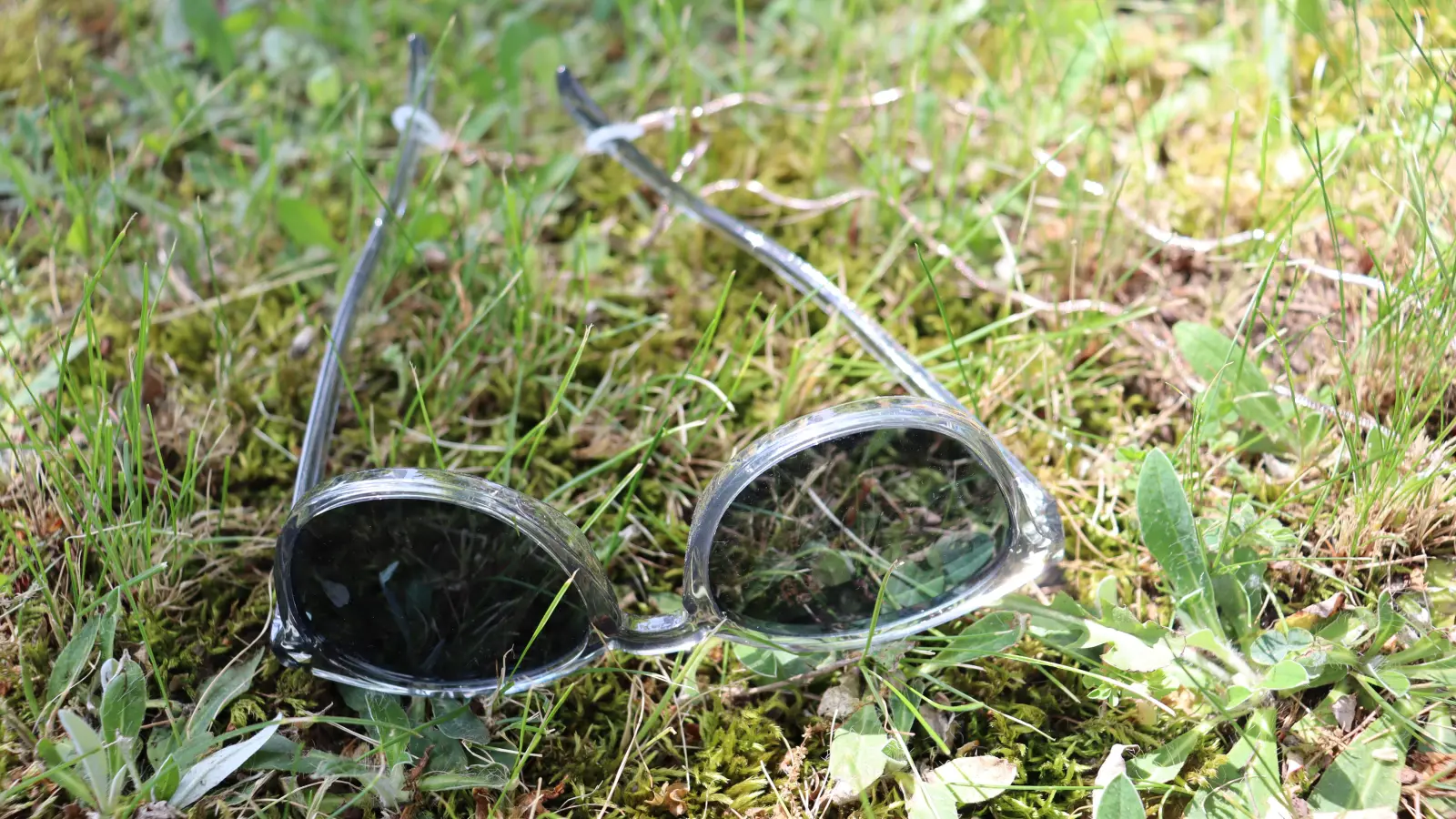 Chillen im Gras ist das eine. Richtig viel Action dagegen gibt es beim Sommerferien-Spaß der Stadt. Bis zum Mittwoch, 25. Juni, kann man seine Kinder dafür anmelden.  (Foto: mha)