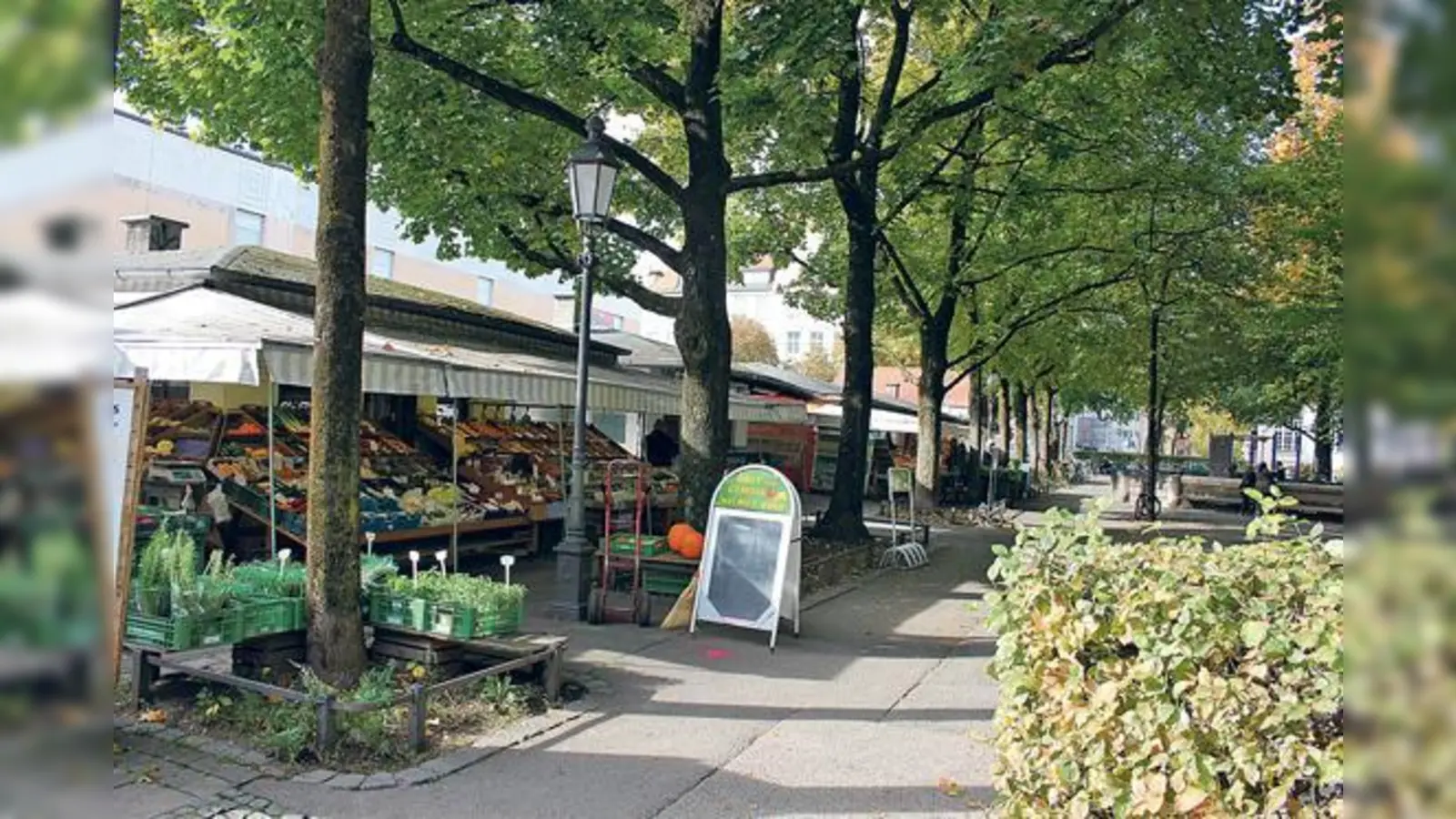 Obst, Gemüse und Zankapfel: Am Elisabethmarkt in Schwabing scheiden sich derzeit die Geister.	 (Foto: PH)