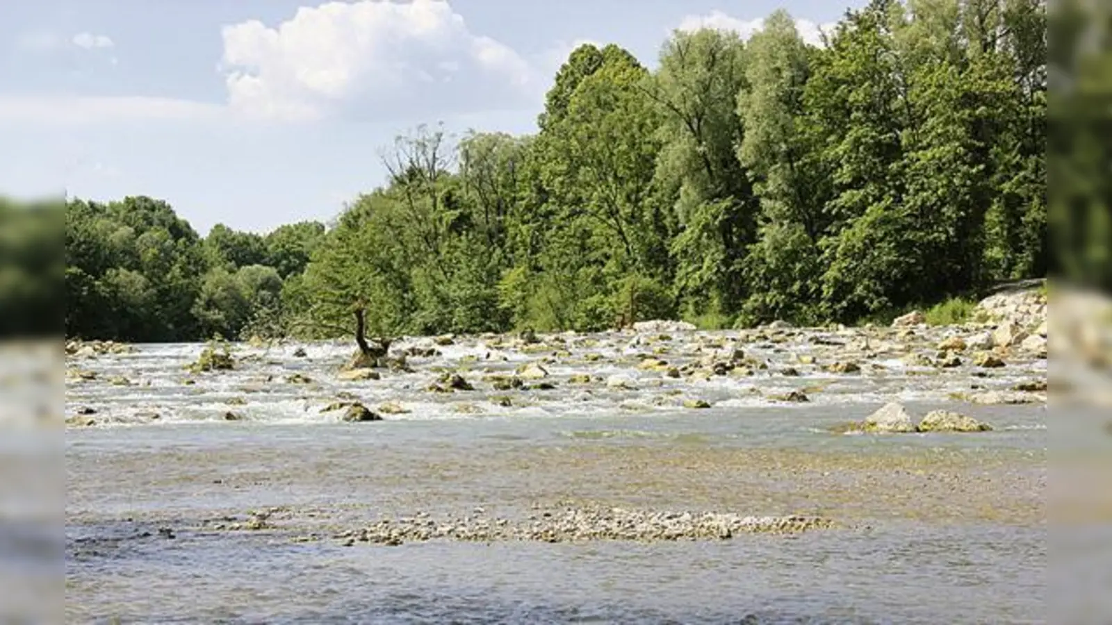 Die Ismaninger Sohlrampe ist im vergangenen Sommer eingeweiht worden. Jetzt wird das Isarufer bei Fischerhäuser zum Teil zurückgebaut.  (Foto: bs)