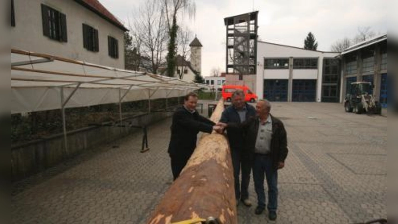 „Wir werden dafür sorgen, dass dieser schöne Gräfelfinger Baum auch in Gräfelfing bleibt.“ V.l. Peter Köstler, Peter Pfeil und Dieter Feuerer. (Foto: US)