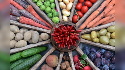 Erntedankvielfalt, dargestellt im Wagenrad des Kreisverbandes München für Gartenkultur und Landespflege. (Foto: Anna Marinelli)
