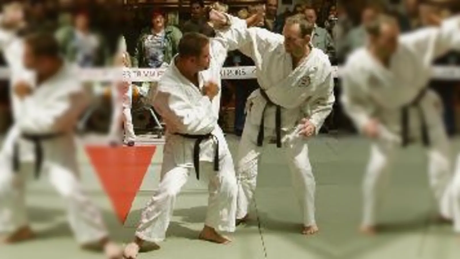 Jiu-Jitsu erfordert volle Konzentration: beim Moosacher Verein kann man alles von der Pike auf lernen  unabhängig von Alter und Kondition.	 (Foto: Verein)