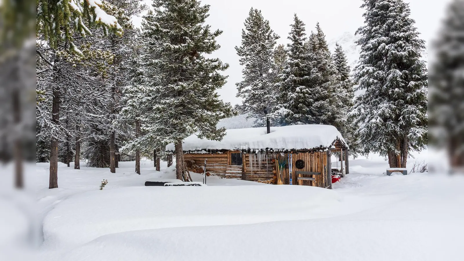 Am Donnerstag, 28. November, berichtet Carmen Rohrbach von ihren Erlebnissen in Kanada. (Foto: Rohrbach)