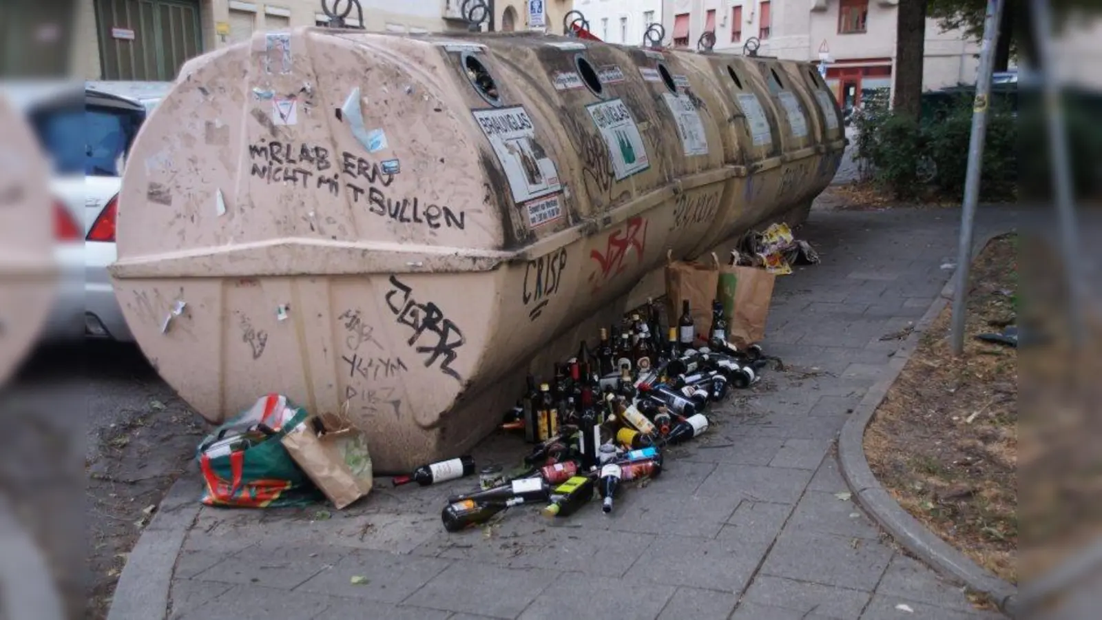 Vielerorts ein Problem: überfüllte Container. (Foto: lsc)