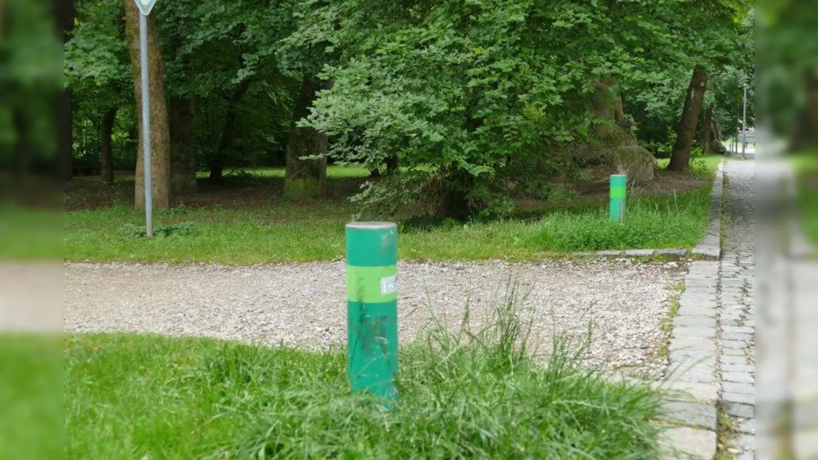 Der gesamte Bavariapark ist als Biotop kartiert. Deshalb dürfen Hunde dort nirgendwo auf die Wiesen - auch nicht frühmorgens. (Foto: ds)