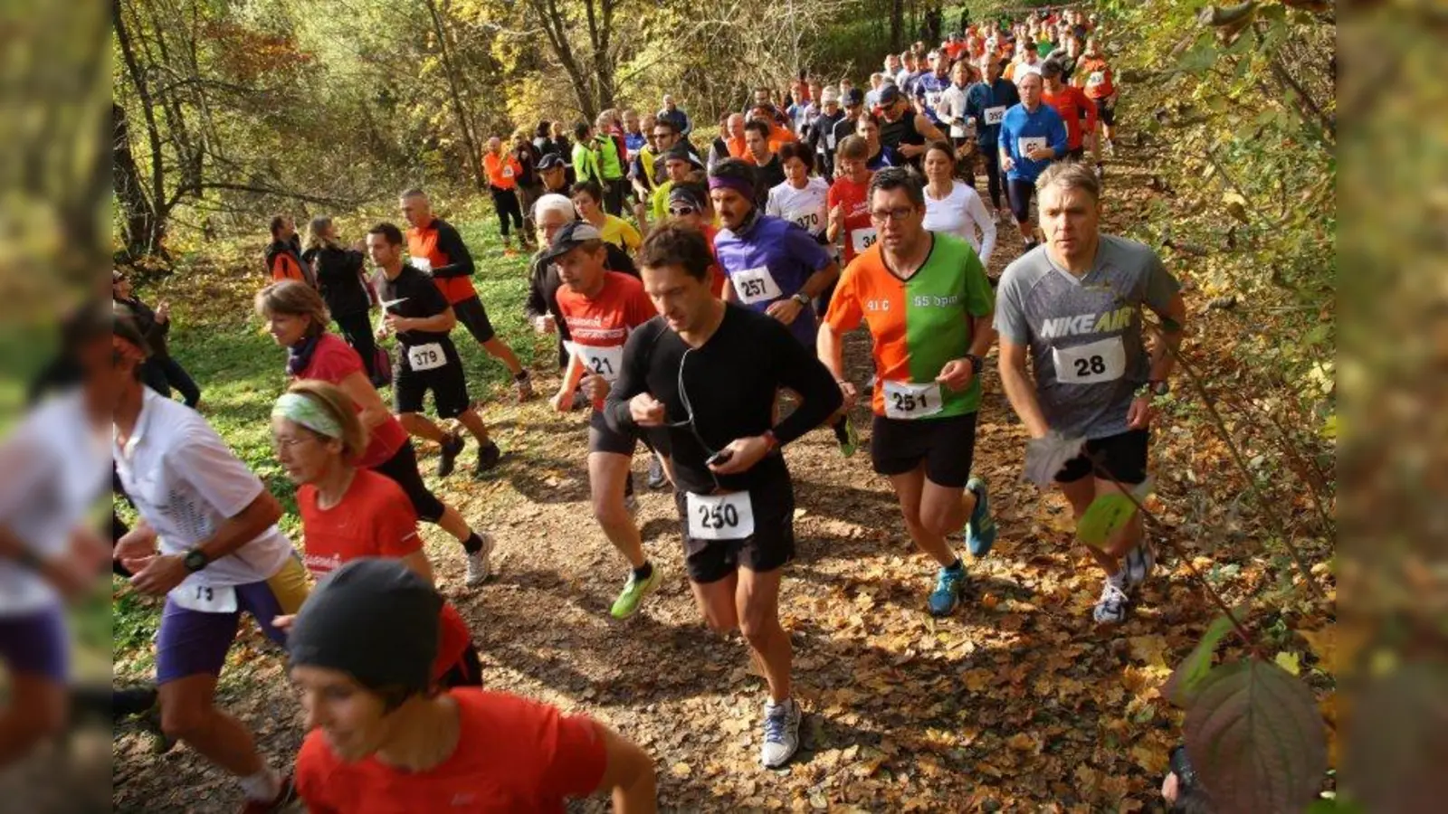 Der Teufelsberglauf 2013 erfreut sich alljährlich einer großen Zahl an Teilnehmern. (Foto: ESV Neuaubing)