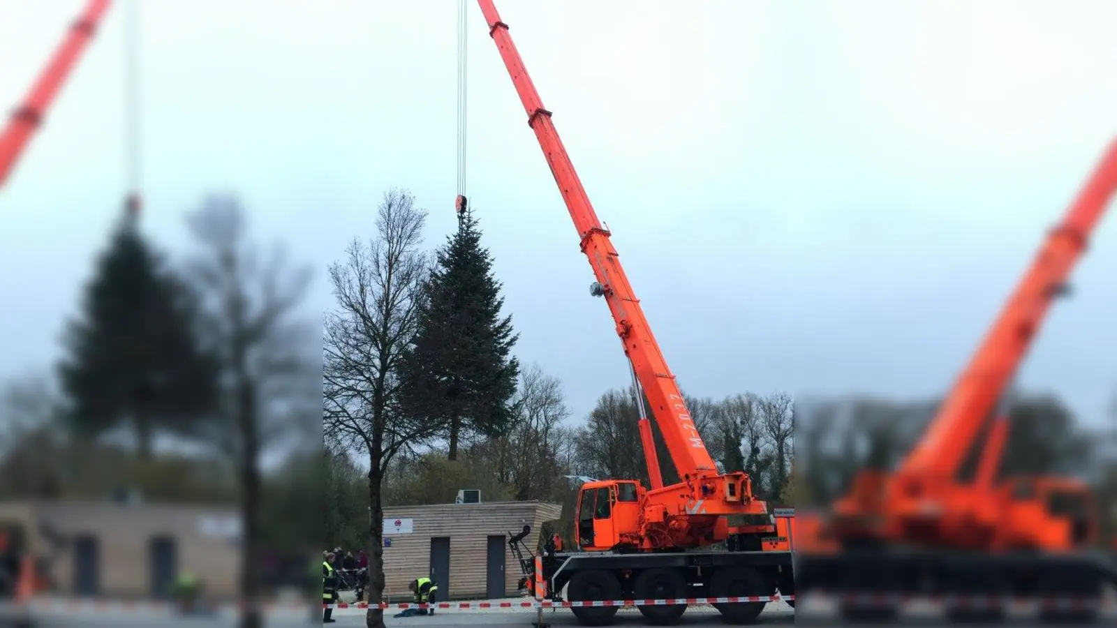 Der Thalkirchner Christbaum. Am Wochenende wurde er geschmückt. (Foto: pi)