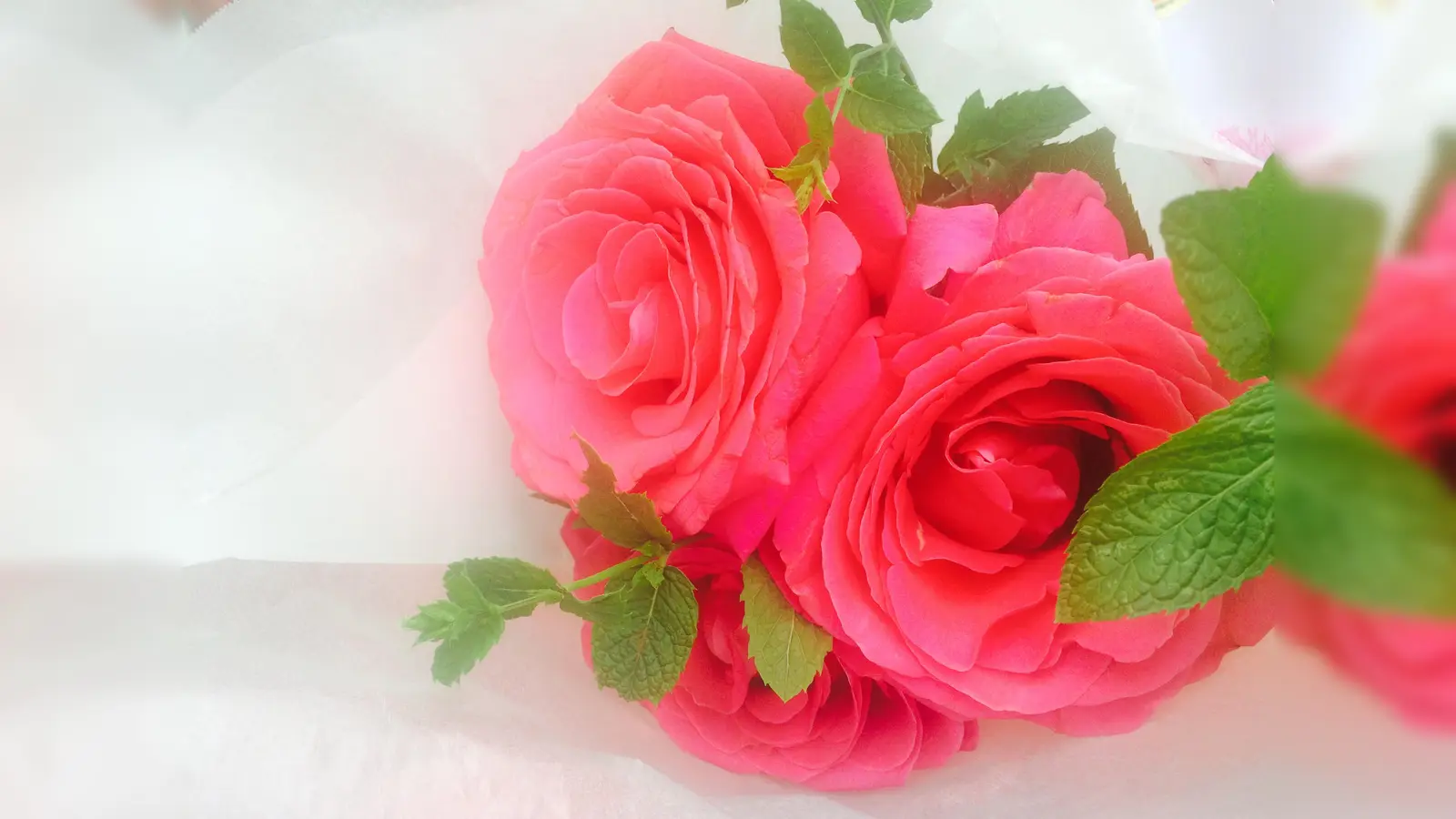 Nicht immer hängt der Liebeshimmel voller Geigen, besonders schlimm ist es, wenn ein Partner fremdgeht. (Foto: ghw)