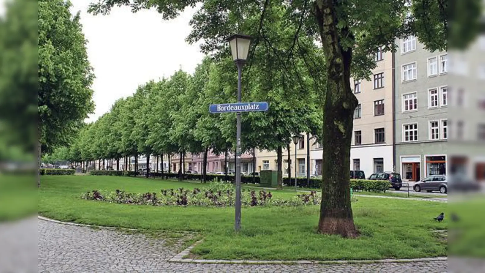 Haidhausen ist grün? Nicht überall: Im Stadtbezirk 5 gibt es immer weniger Bäume. Der BA will gegensteuern.	 (Foto: js)