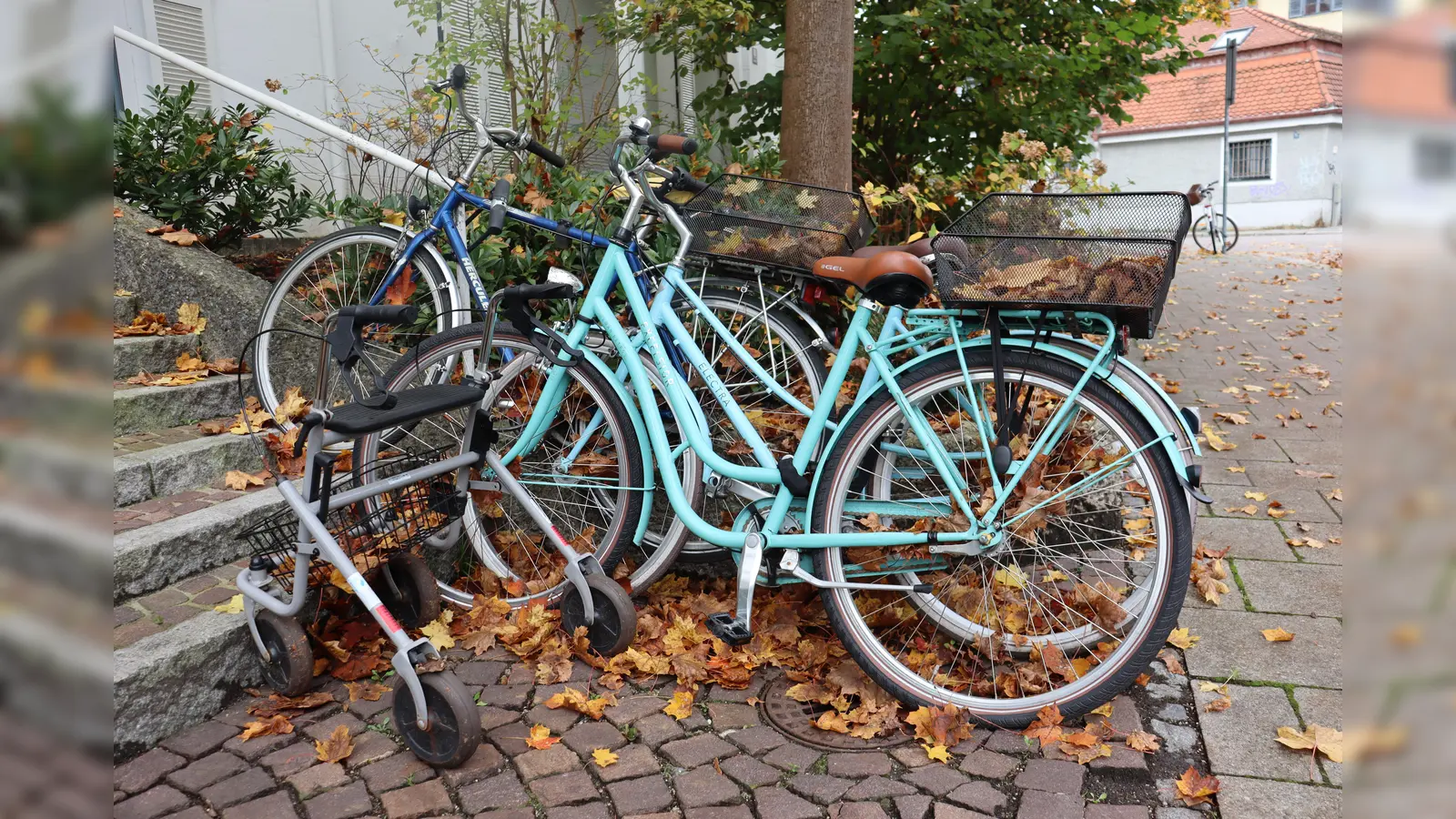 Nur fünf Minuten dauert die Teilnahme an der Umfrage der Nordallianz zum Thema Radfahren. Wer mitmacht, bestimmt das zukünftige Bikesharing-Angebot mit. (Foto: mha)