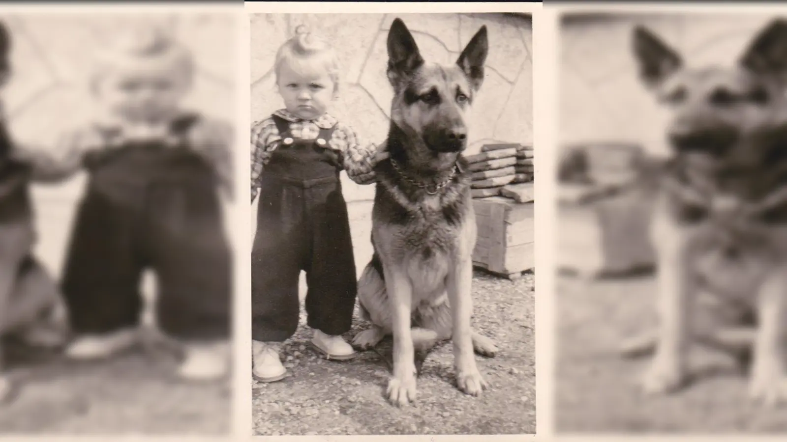 Die Liebe zu Hunden hat sich Rüdiger Meyer bis heute behalten. (Foto: privat)