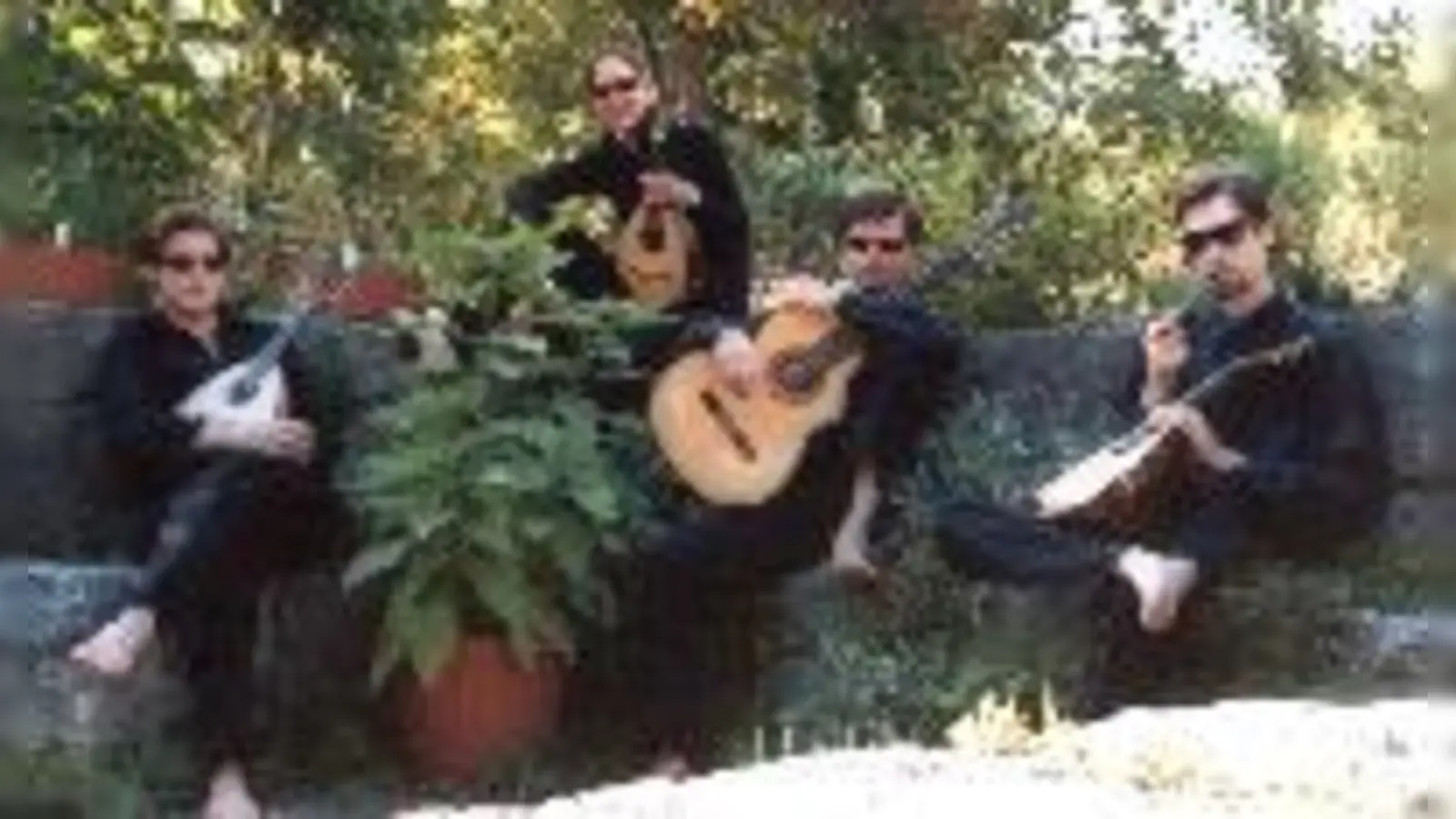 Das Mandolinenquartett »Aramis«.	 (Foto: VA)