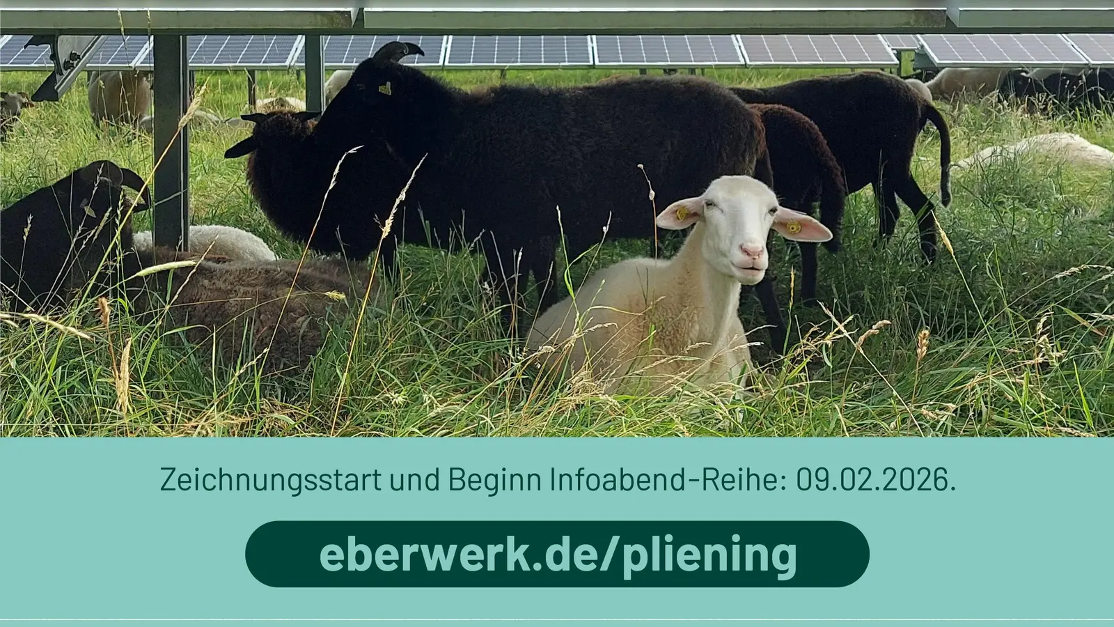 Ein Infoabend zum Bürger-Solarpark findet in Vaterstetten am 17. März statt. (Foto: Gem. Vaterstetten)