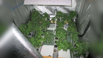 Die Marihuana-Plantage in Baierbrunn. (Foto: Polizei)