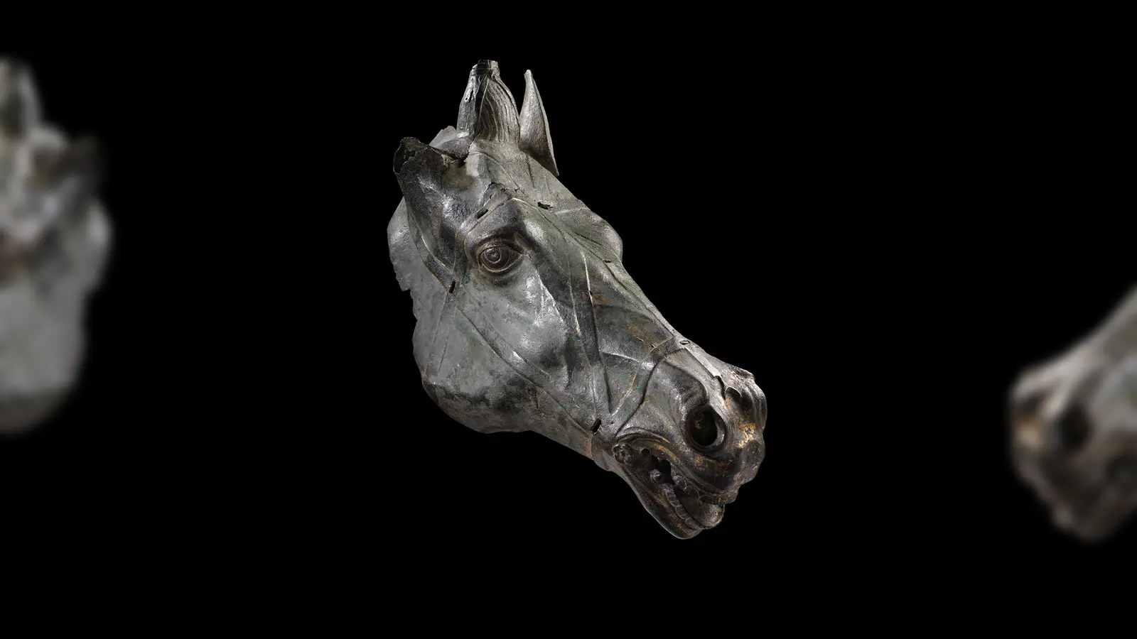Unter anderem zu bewundern: Ein bronzener Pferdekopf aus dem römischen Augsburg. (Foto: Andreas Brücklmair)