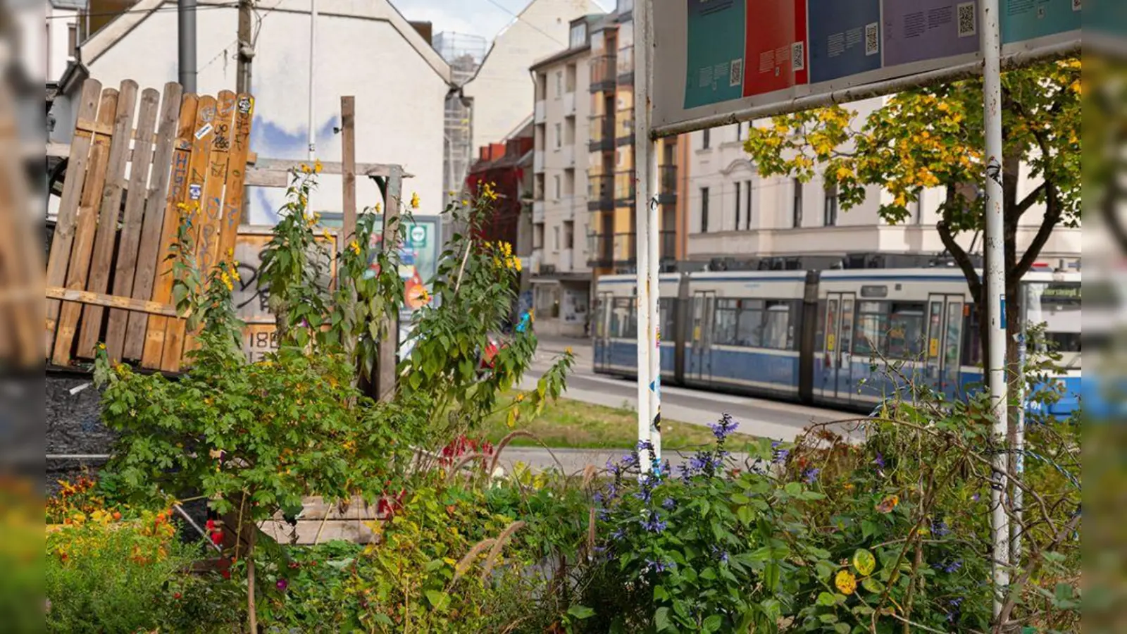 Der öffentliche Raum (hier am Giesinger Grünspitz) sorgt für Lebensqualität und Flair, ist Ort des sozialen, wirtschaftlichen und kulturellen Lebens. (Foto: Jörg Koopmann)