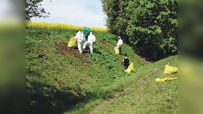Ehrenamtliche Helfer der Gruppe »Taten Schenken« bei der Vernichtung von Riesenbärenklau. Die Schutzanzüge werden benötigt, um Hautkontakt zu vermeiden.	 (Foto: LRA München)