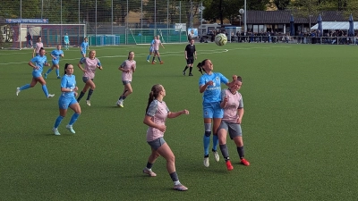 Vorteil Pasing: TSV 1860 gegen DJK.  (Foto: HK)