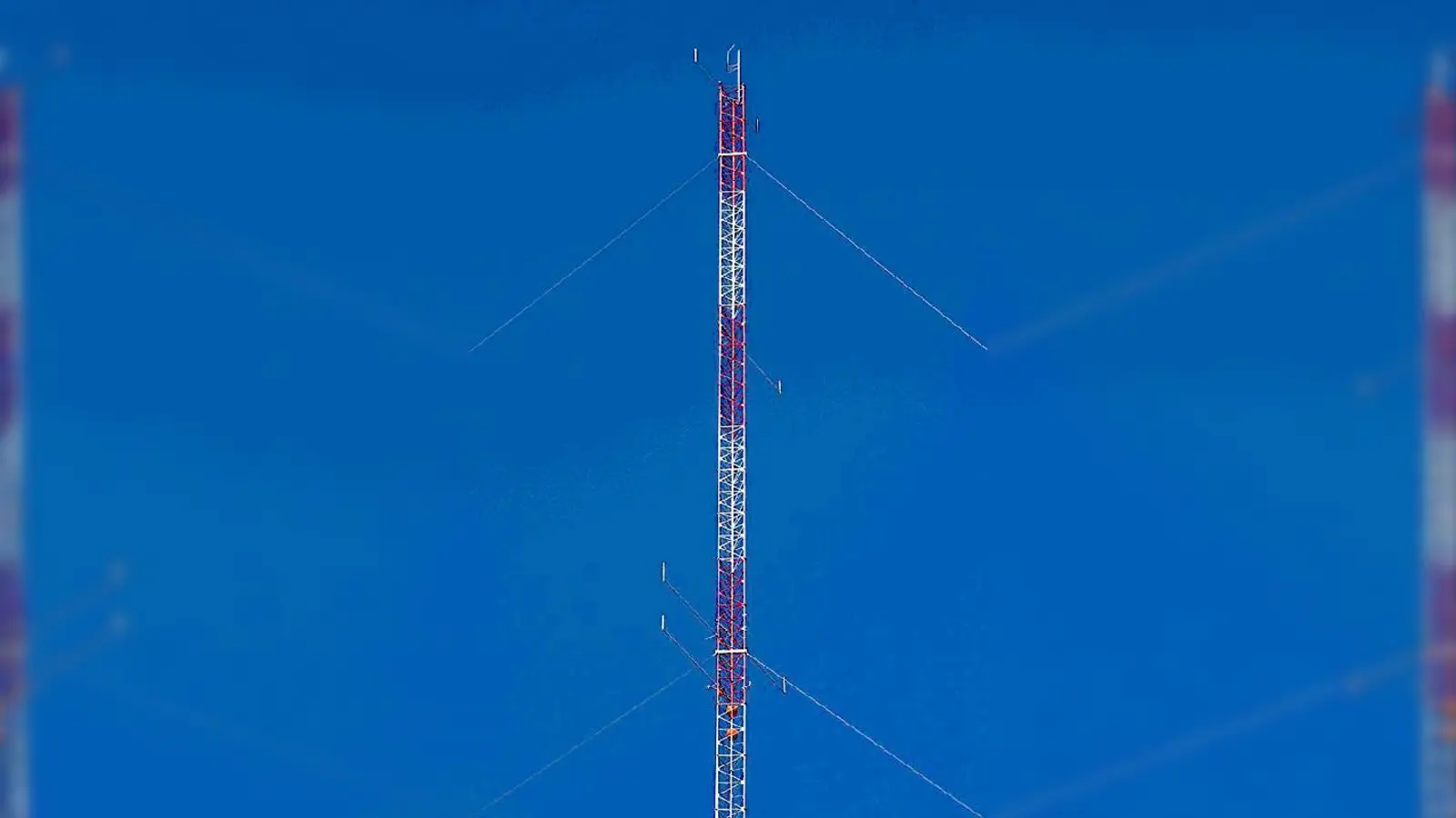 Windmessemast im Forst Ebersberg. 	 (Foto: G City Energy)