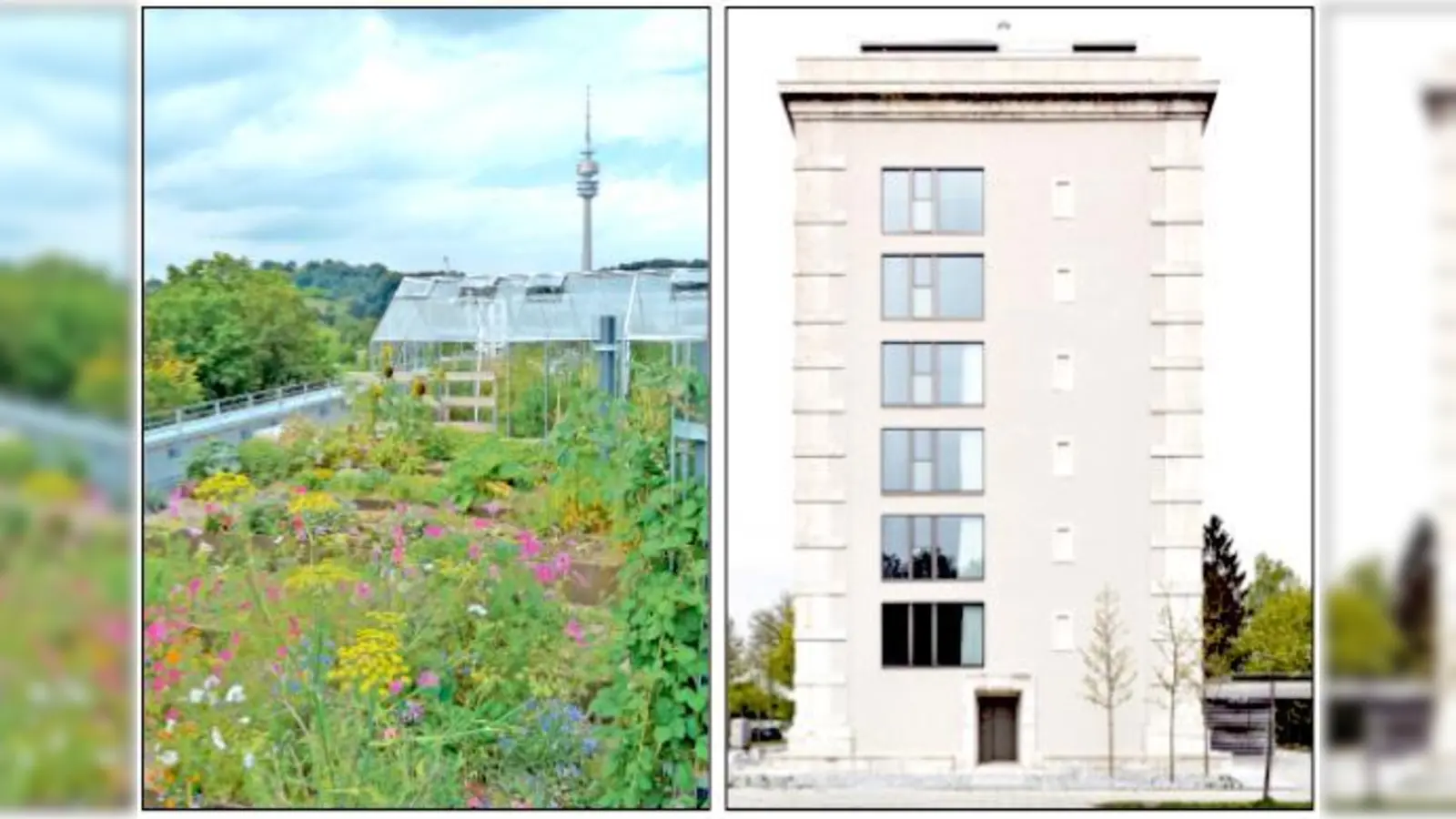 Ob begrünter Dachgarten, ein zum Loft umgebauter Luftschutzbunker oder ein Stadthaus, das aufgestockt wurde, am kommenden Wochenende kann man neue Architektur hautnah erleben.	Foto 2: FreiRaumArchitekten, Foto  (Foto: hiepler, brunier)