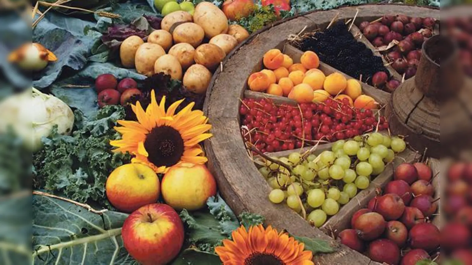 Der Herbst im Botanischen Garten ist golden und bunt.	 (Foto: Franz Höck)