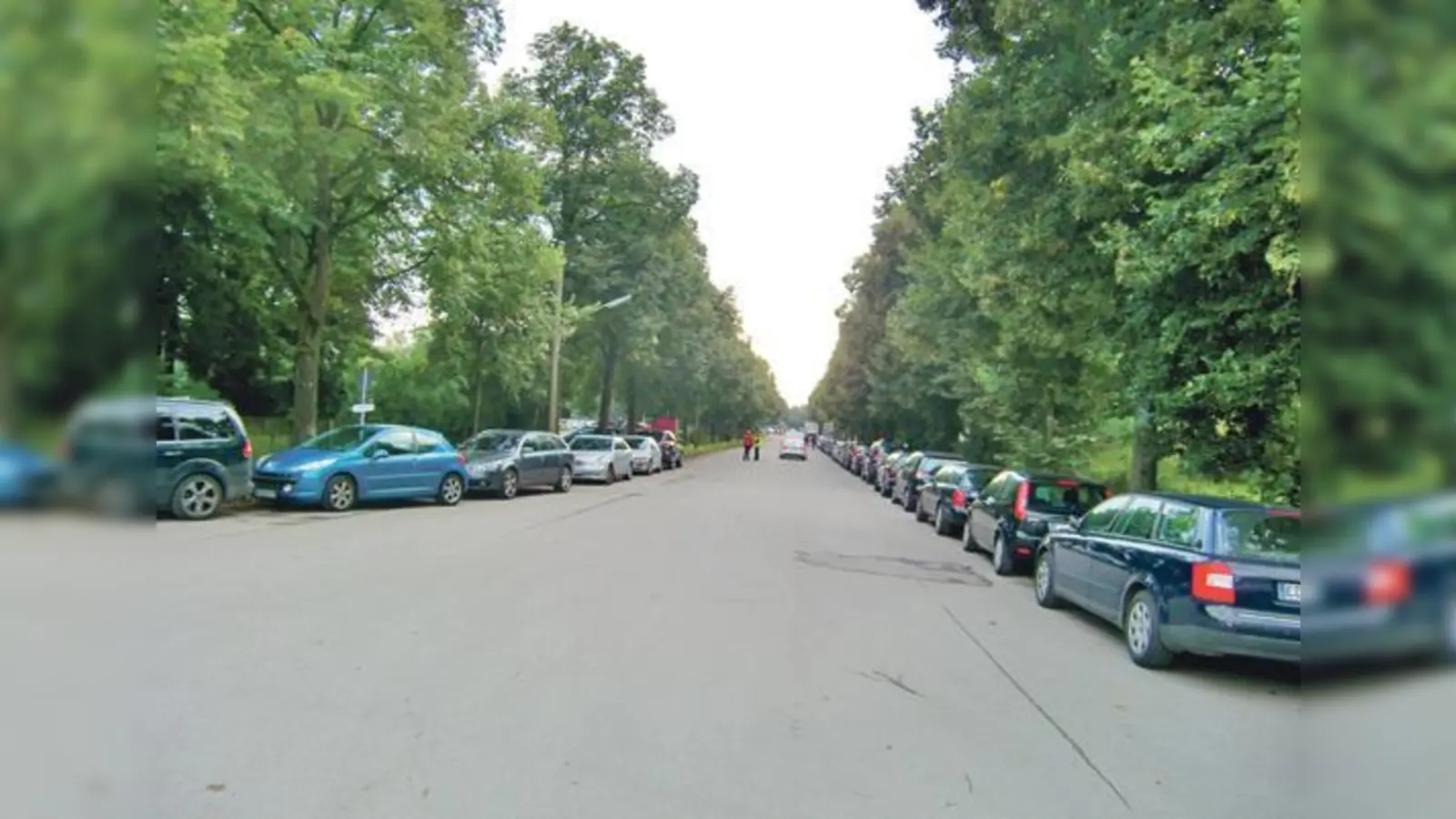 Alle Parkplätze entlang der Landshamer Straße zum Reitstadion waren bei den »Pyro Games« eine halbe Stunde nach Kassenöffnung belegt. Die Anwohner ärgern sich aber auch über den Lärm und Dreck der Menschenmassen.	 (Foto: ikb)