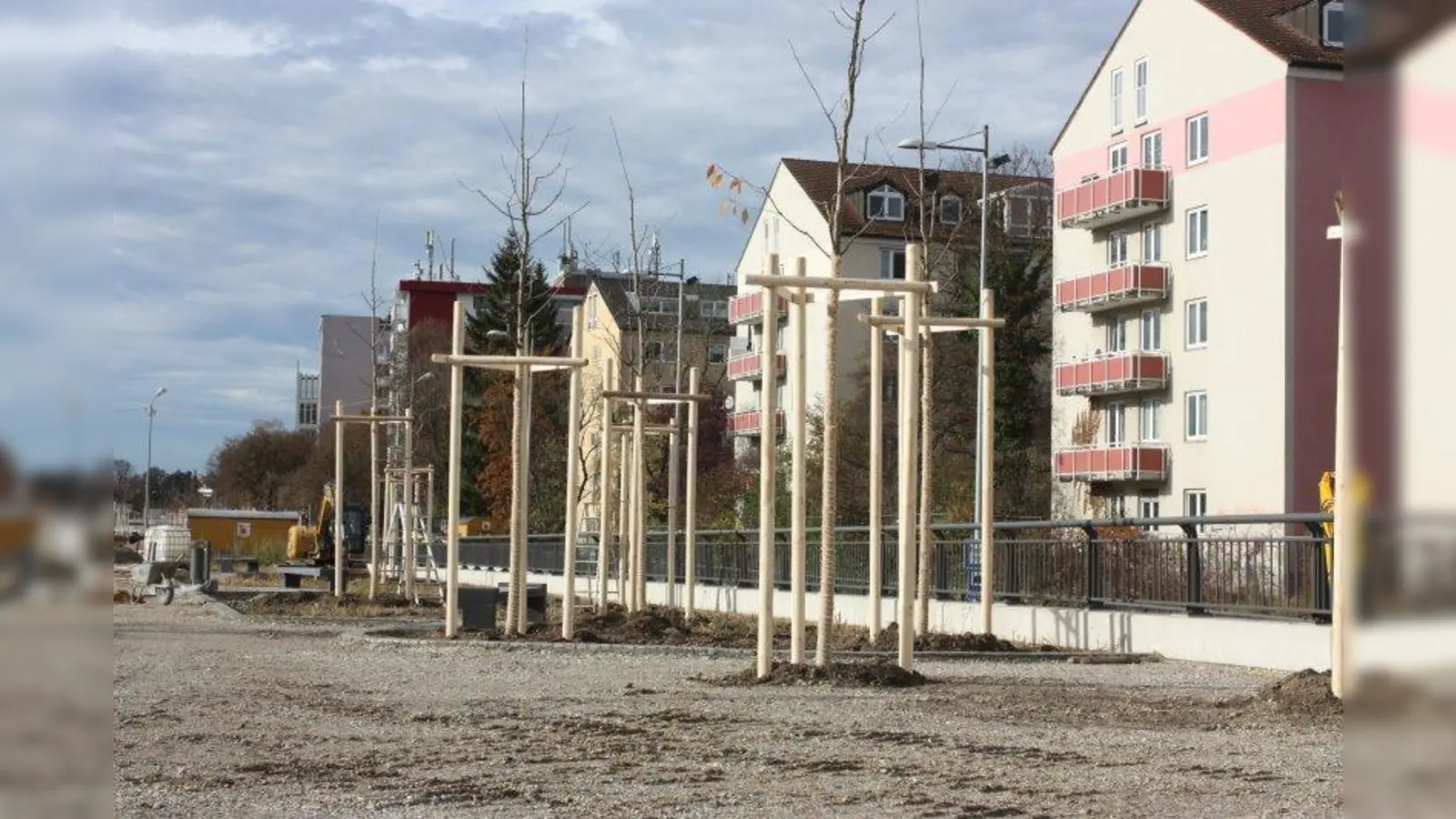 Langsam nimmt der Heckenstallerpark erste Konturen an. Jetzt wurden Bäume gepflanzt. Darunter rollt der Verkehr durch den Tunnel. (Foto: job)