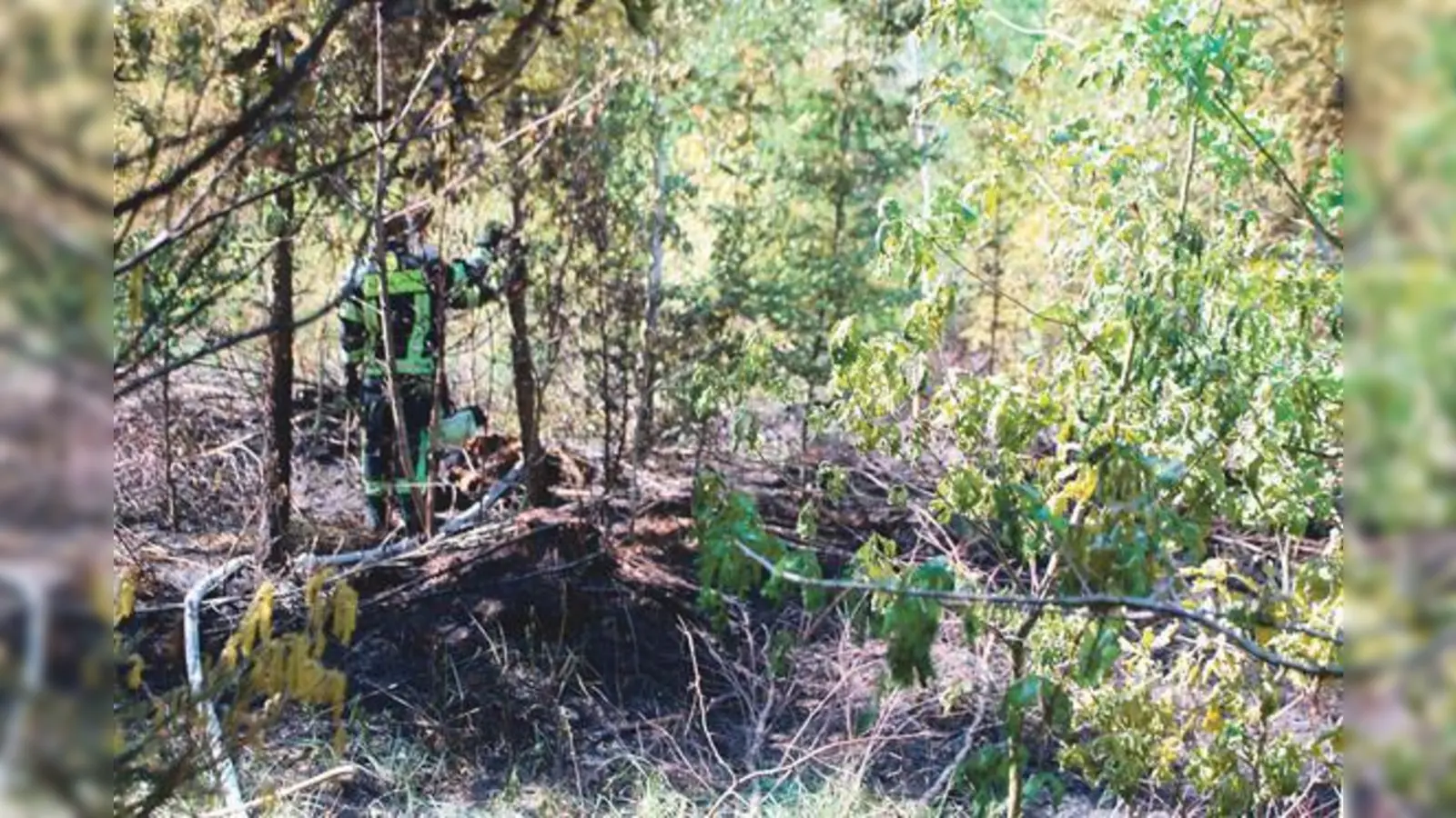 Wieder ging ein Jungwald im  Landkreis München 	in Flammen auf. 32 Mann löschten den Brand. 	 (Foto: VA)