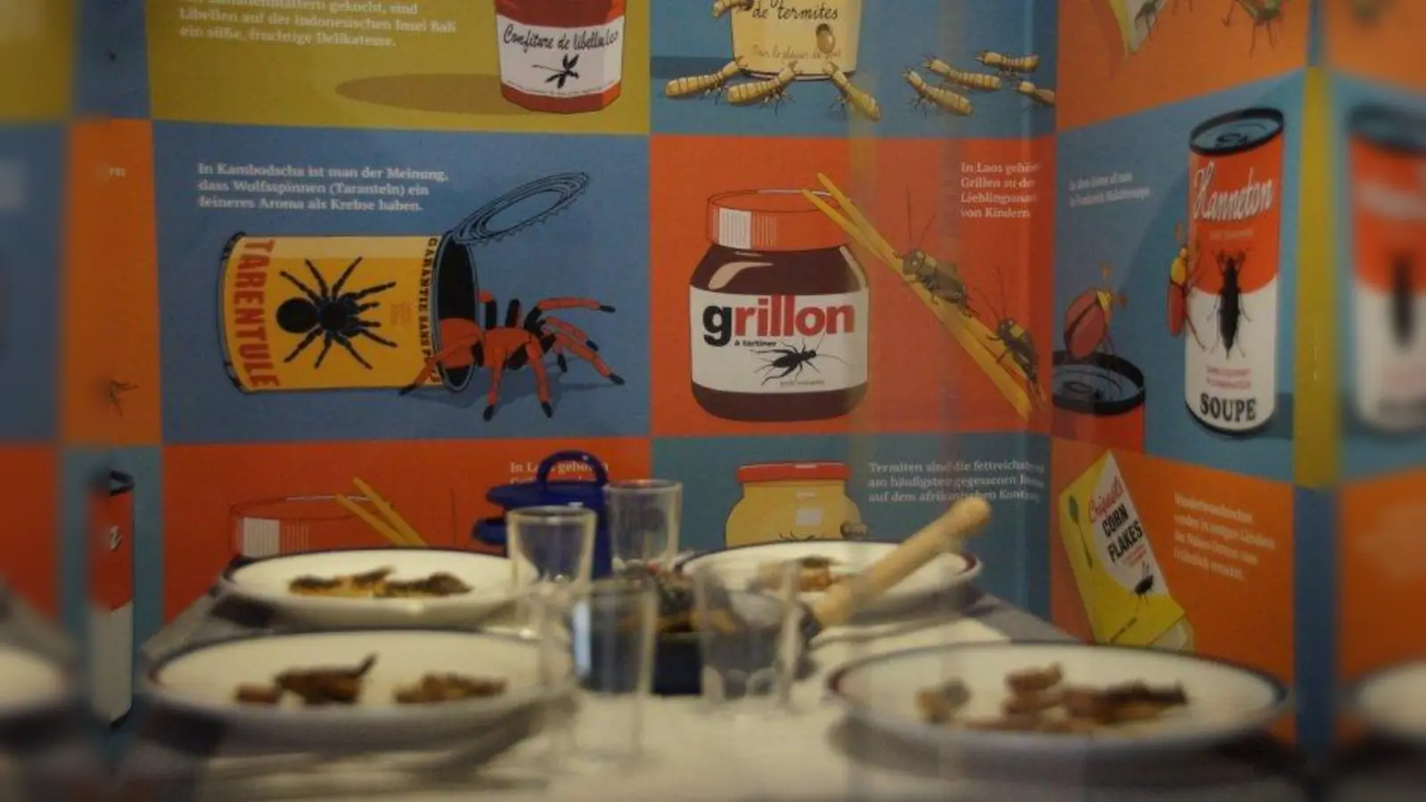Verschiedene Schaukästen zeigen unterschiedliche Zugänge zum Thema Insekten: In manchen Kulturen sind die kleinen Krabbler Delikatessen. (Foto: iab)