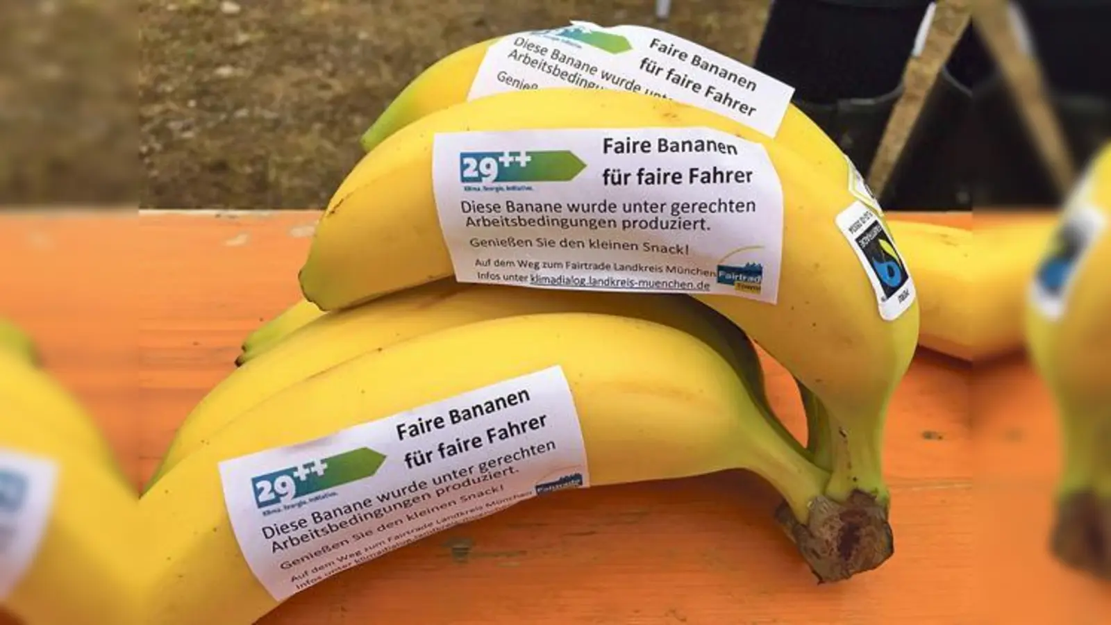 »Faire Bananen für faire Fahrer« gab es vor kurzem beim großen Abschlussfest zum Stadtradeln.	 (Foto: LRA München)