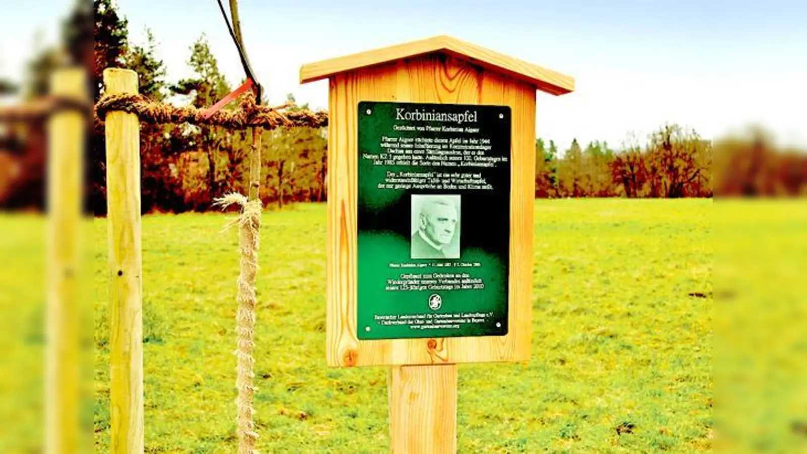 Der Höhepunkt der Aktion: Der Korbinian-Apfelbaum wurde gepflanzt. 	 (Foto: Sepp Keller)